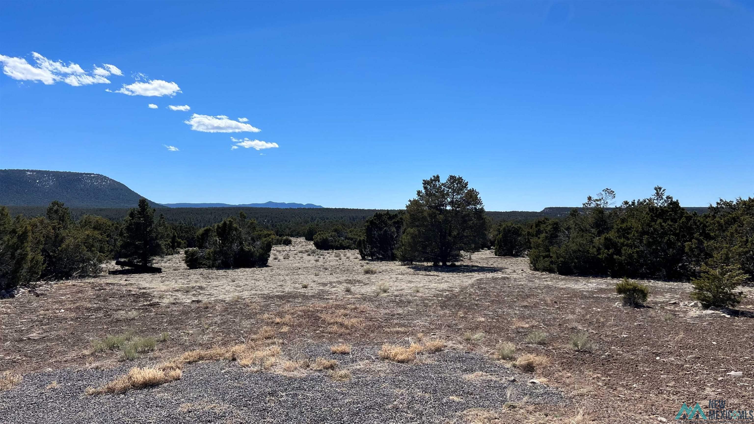 3 Silver Spur, Quemado, New Mexico image 27