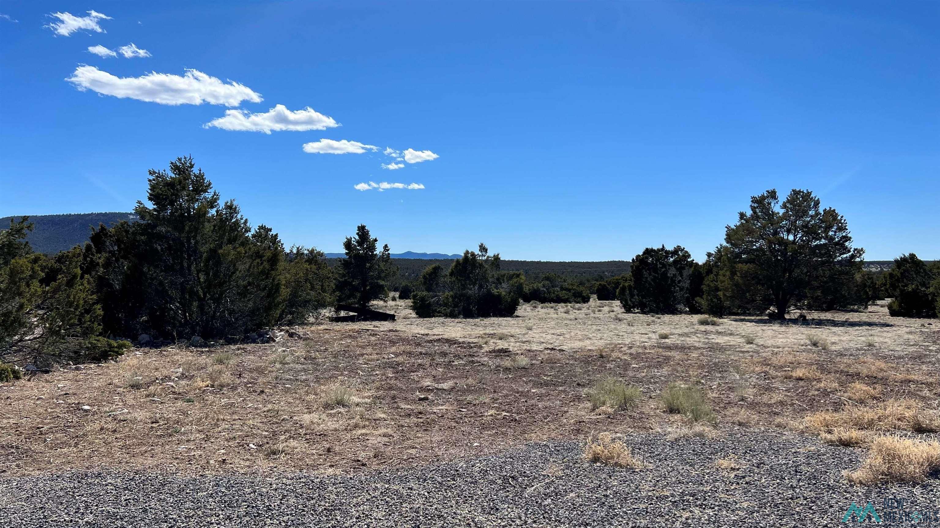 3 Silver Spur, Quemado, New Mexico image 30