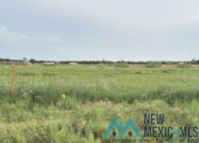 Dexter, New Mexico 88230, United States, ,Land,Active,177755