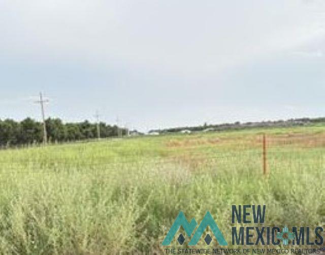 Dexter, New Mexico 88230, United States, ,Land,Active,177755