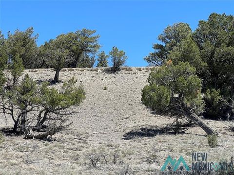 Vacant Land For Sale - TBD Buena Drive<br/> Tierra Amarilla, NM 87575