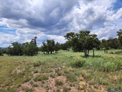 Homes For Sale - 132 Cimarron Drive<br/> Catron County, Quemado, NM 87829