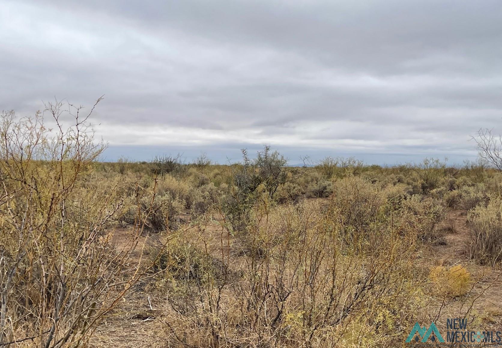 XXXX Olympic Rd Se Drive, Deming, New Mexico image 1