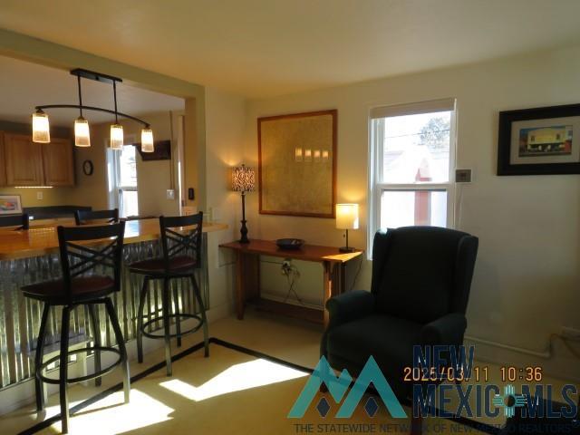 607 Marr Street, Truth Or Consequences, New Mexico image 10