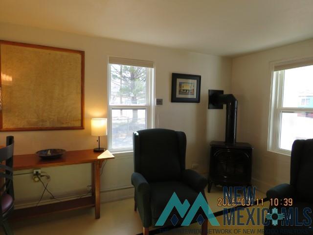 607 Marr Street, Truth Or Consequences, New Mexico image 12