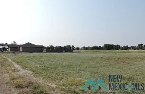 Vacant Land For Sale - 8 Jenkins Drive<br/> Union County, Clayton, NM 88415