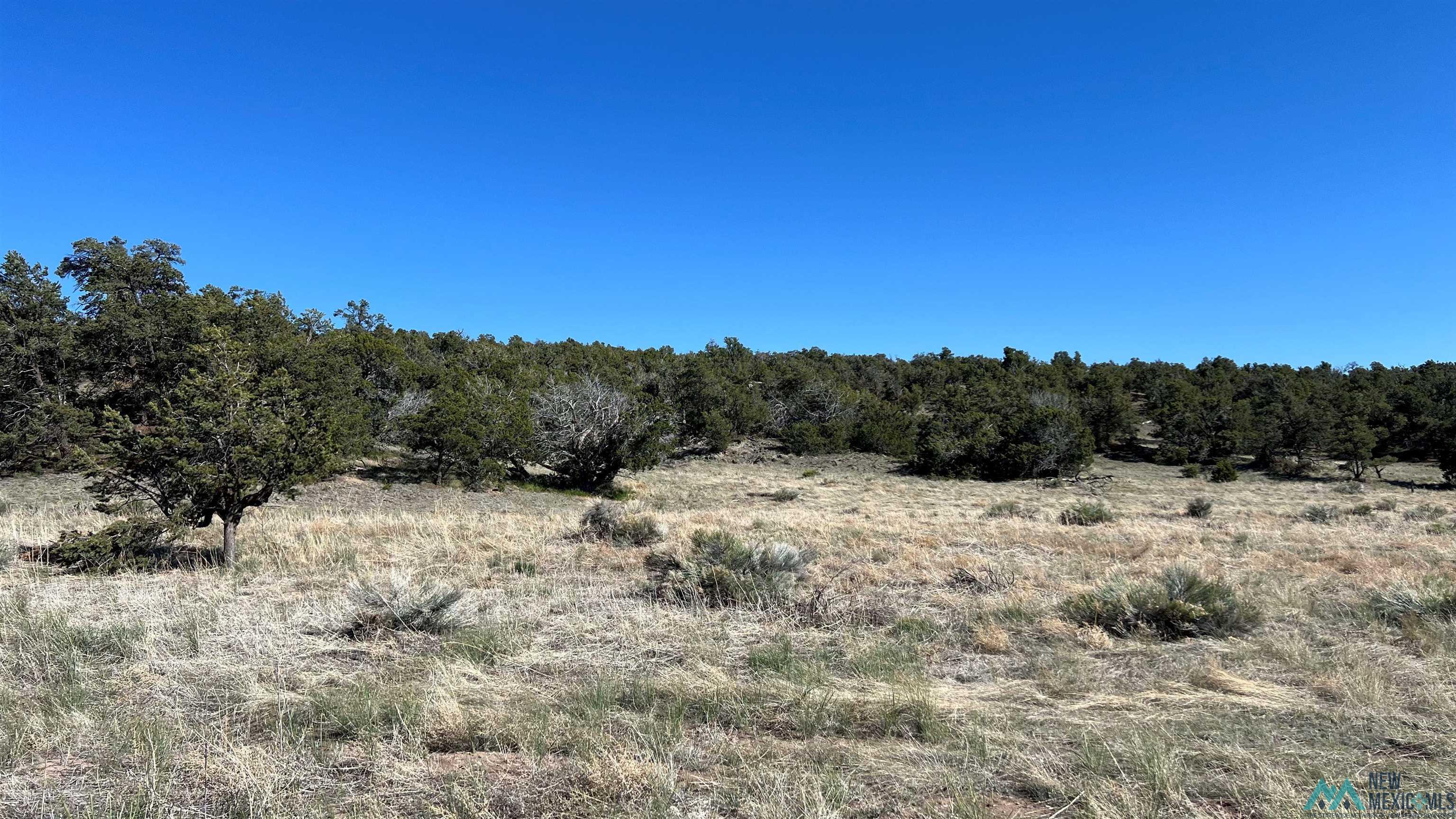 Lot 88 Starfire Road, Quemado, Texas image 27