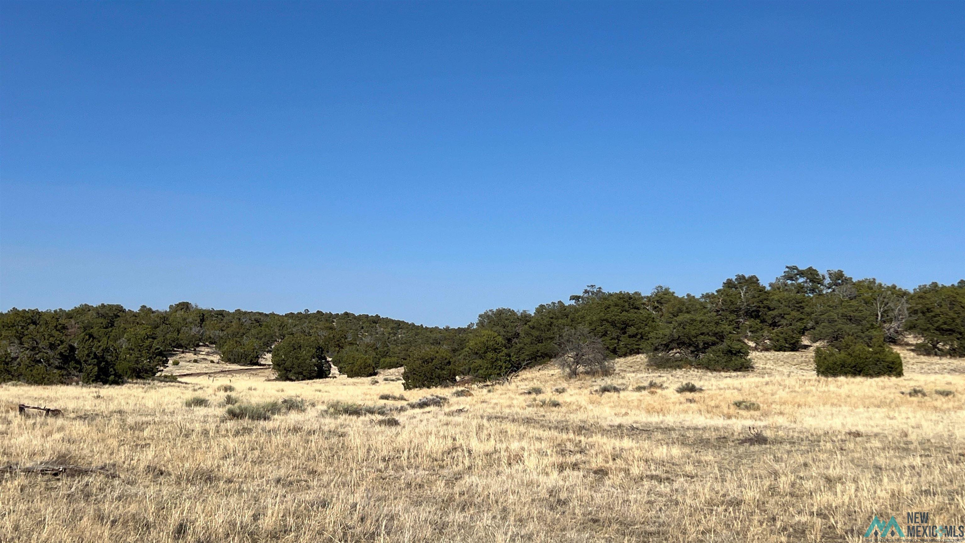 Lot 88 Starfire Road, Quemado, Texas image 25