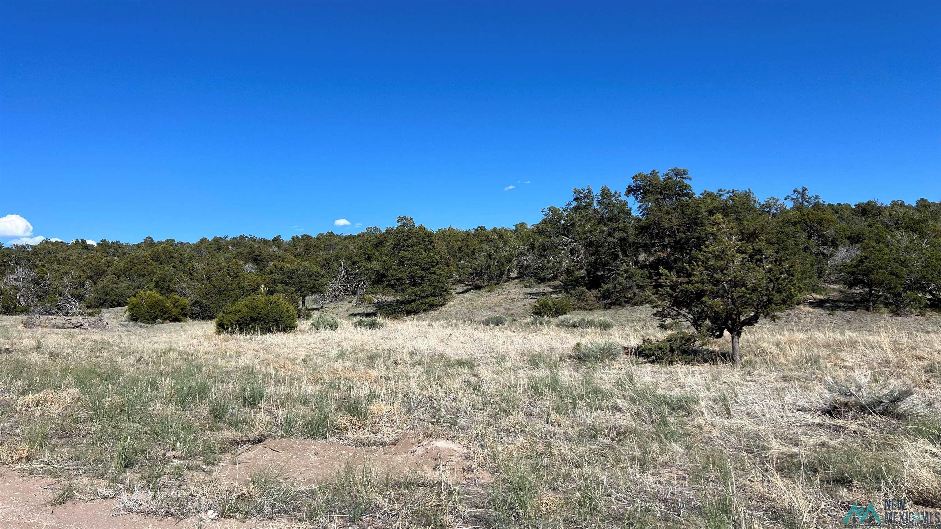 Lot 88 Starfire Road, Quemado, Texas image 26
