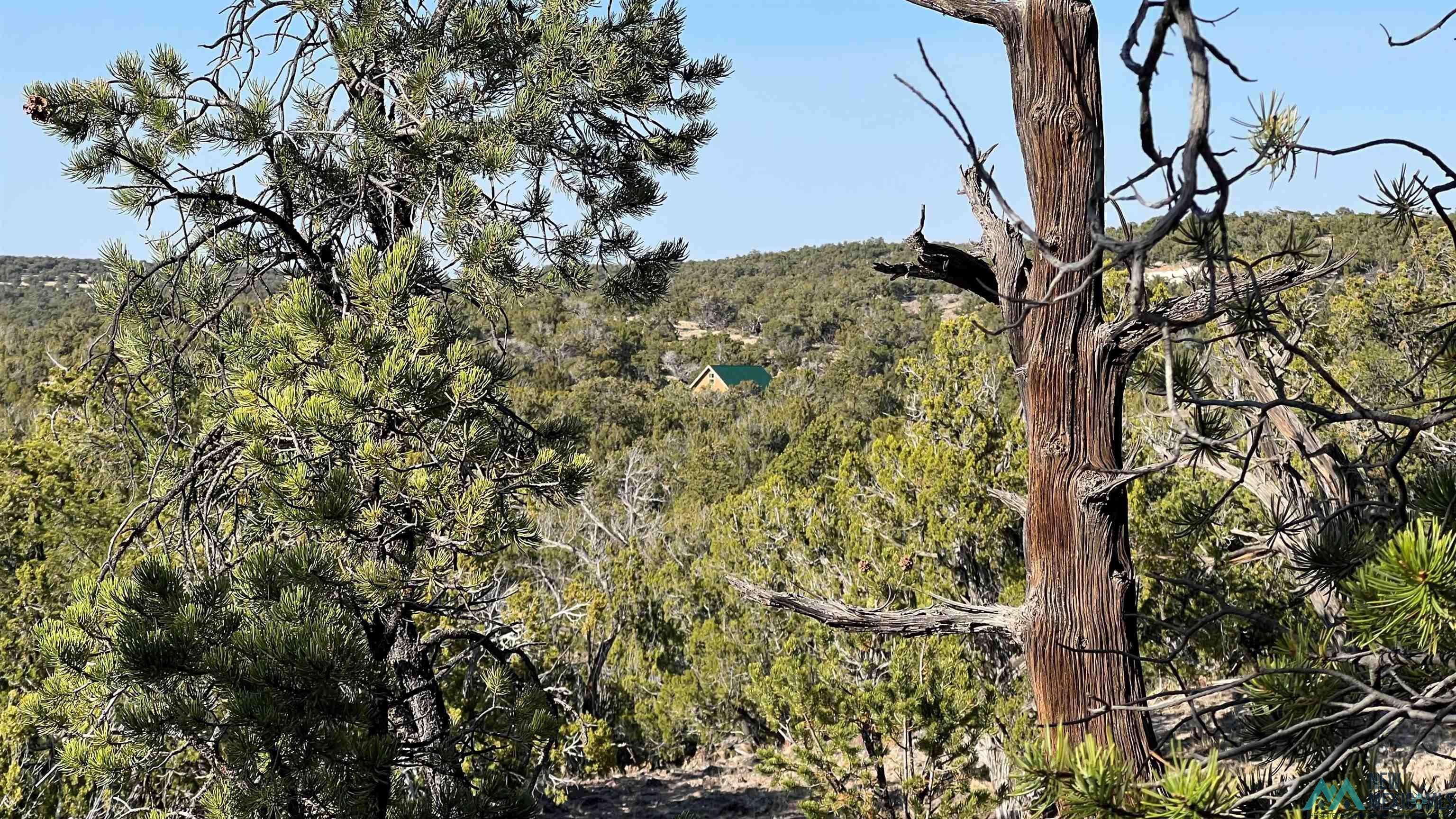 Lot 88 Starfire Road, Quemado, Texas image 30