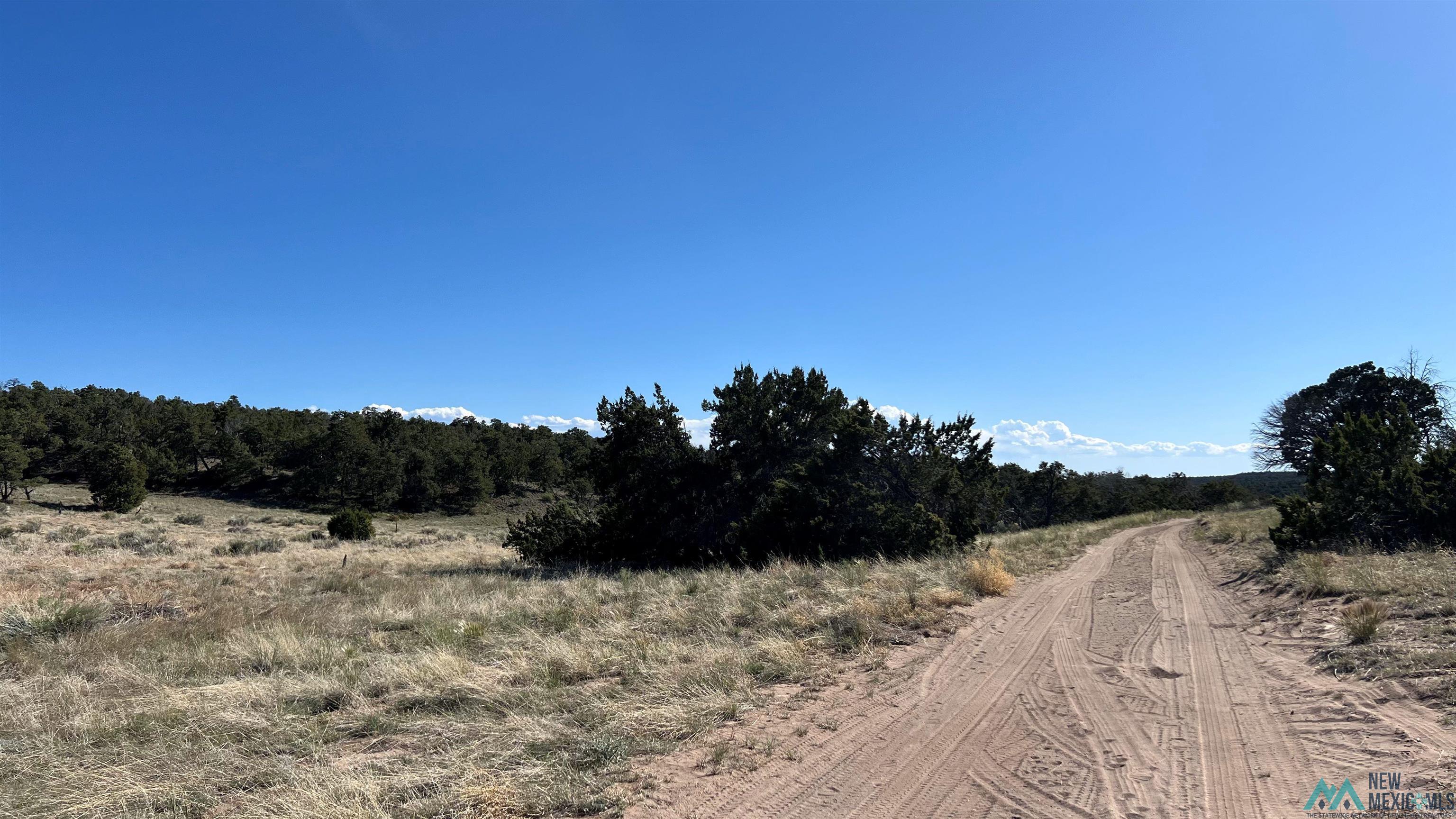 Lot 88 Starfire Road, Quemado, Texas image 28