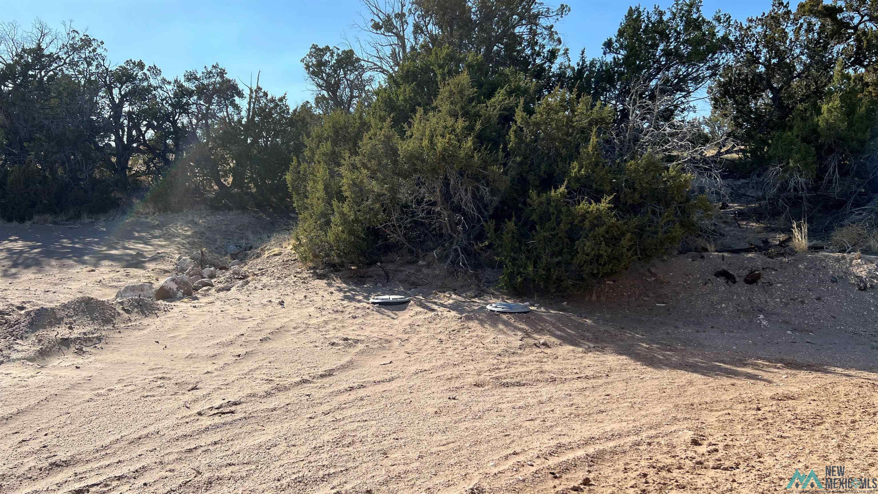 Lot 88 Starfire Road, Quemado, Texas image 20