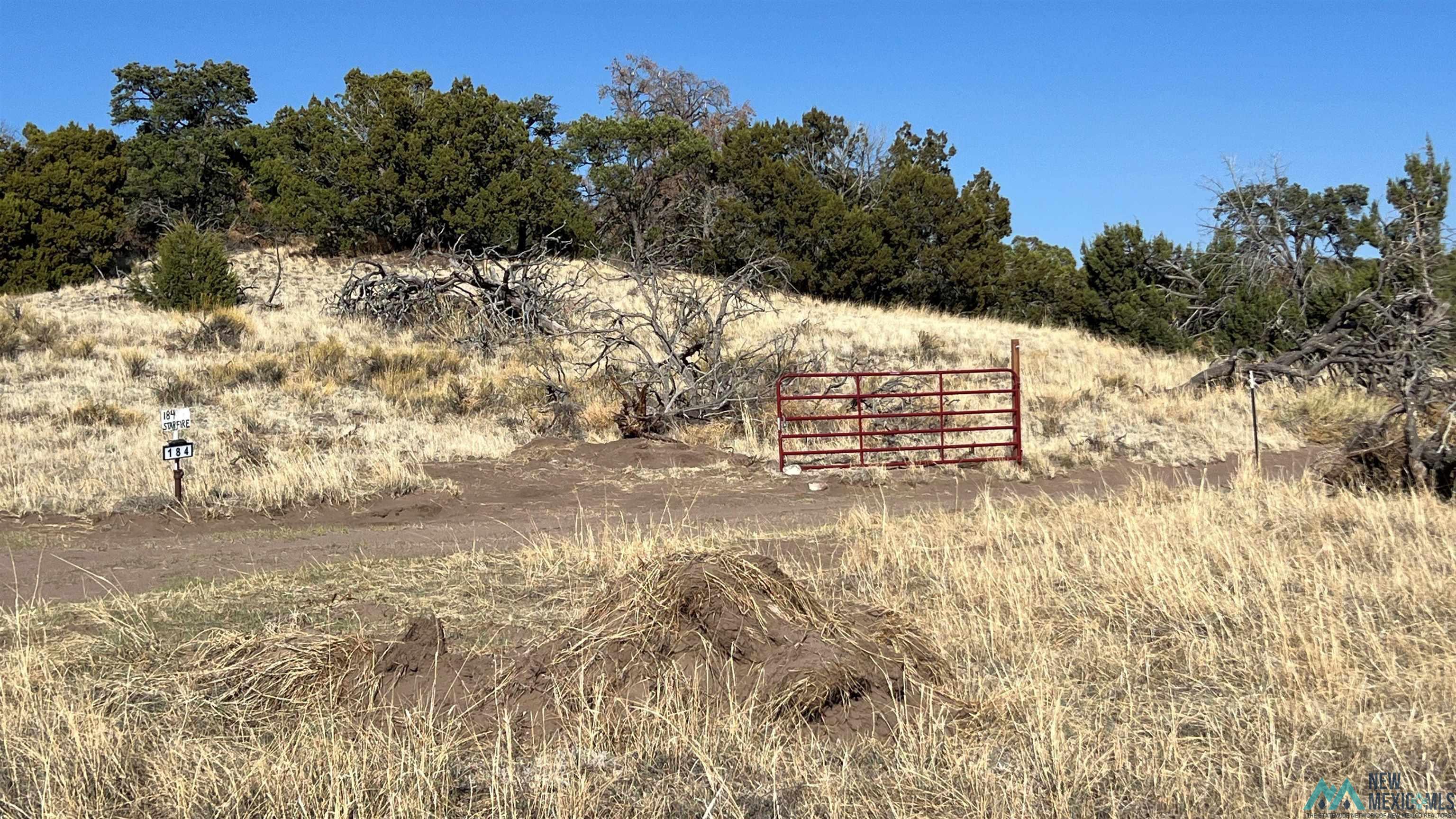 Lot 88 Starfire Road, Quemado, Texas image 31