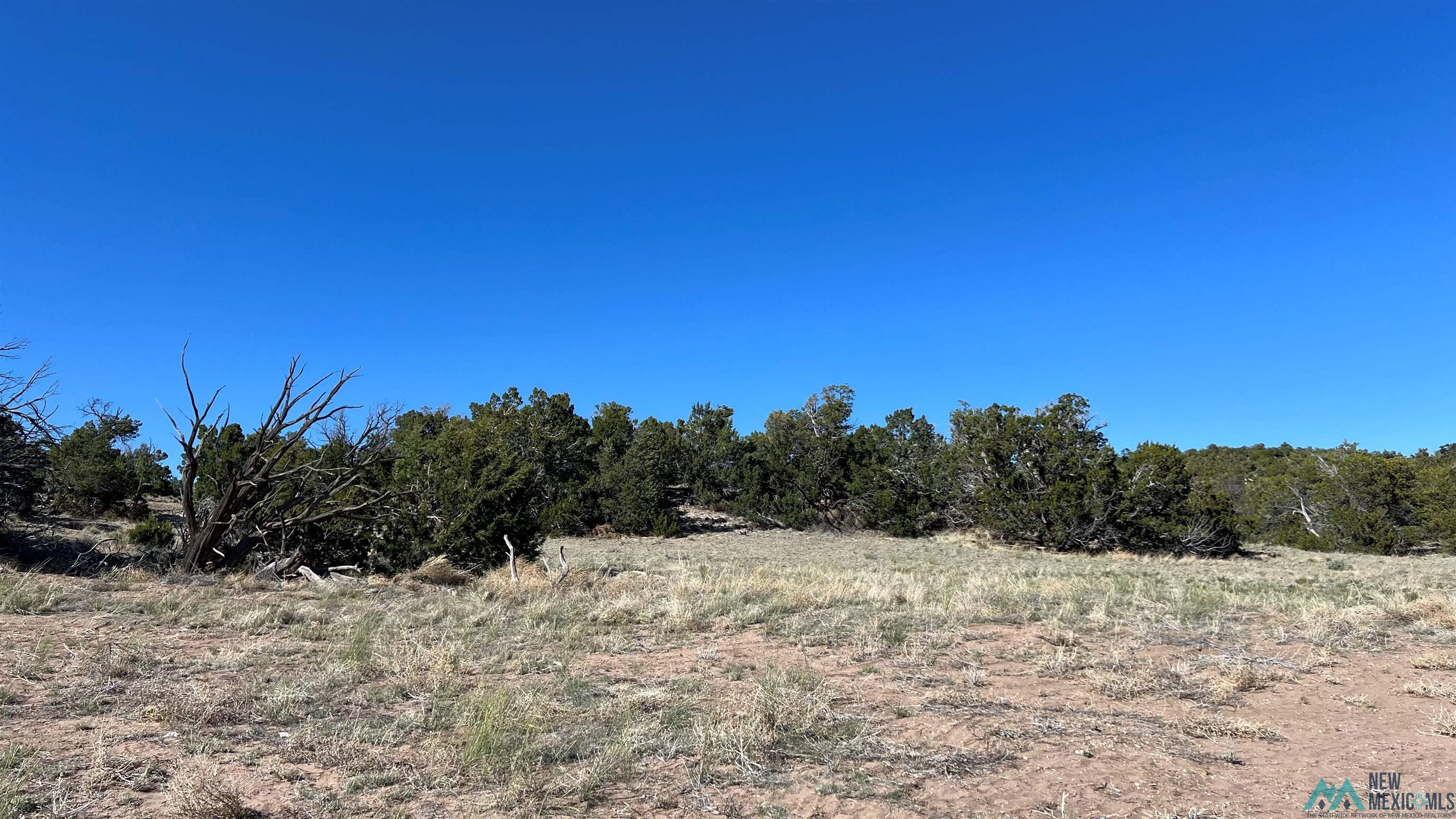 Lot 88 Starfire Road, Quemado, Texas image 29