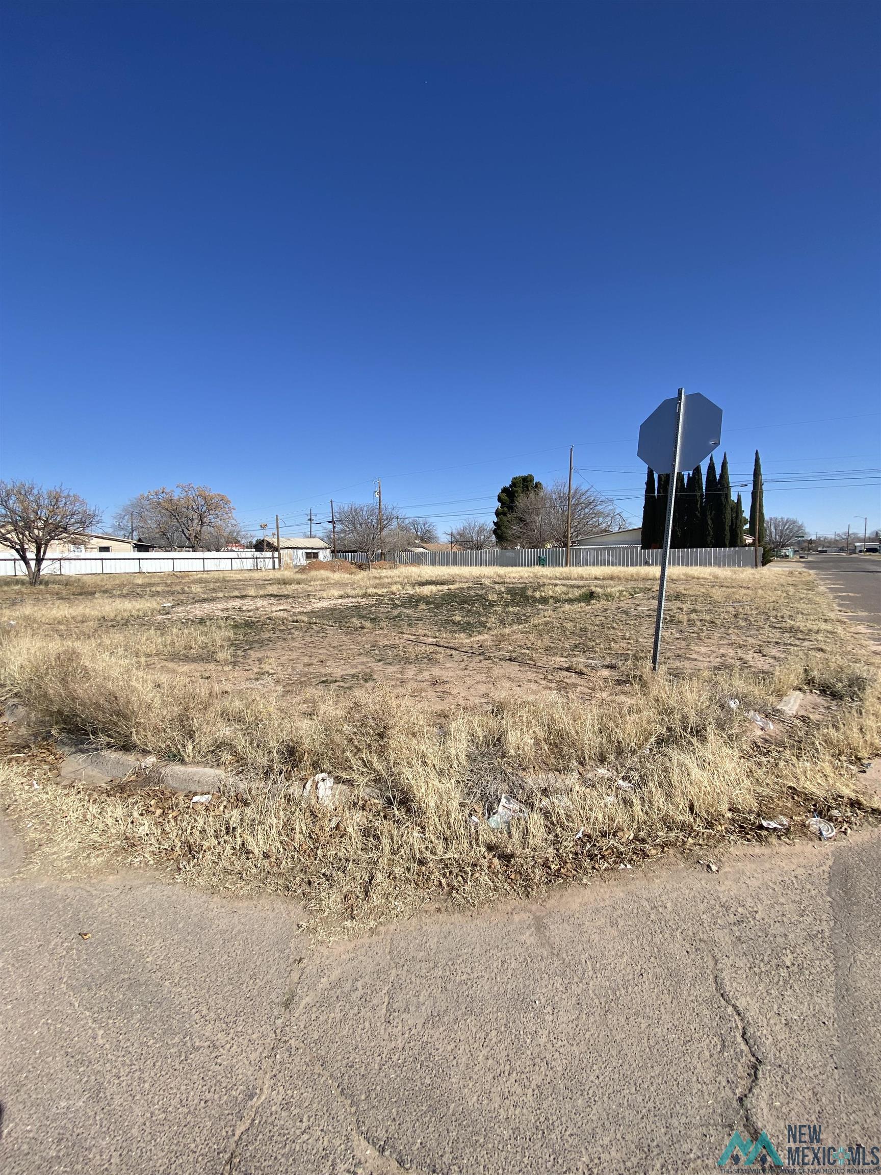 316 S Ave B Avenue, Hobbs, New Mexico image 2