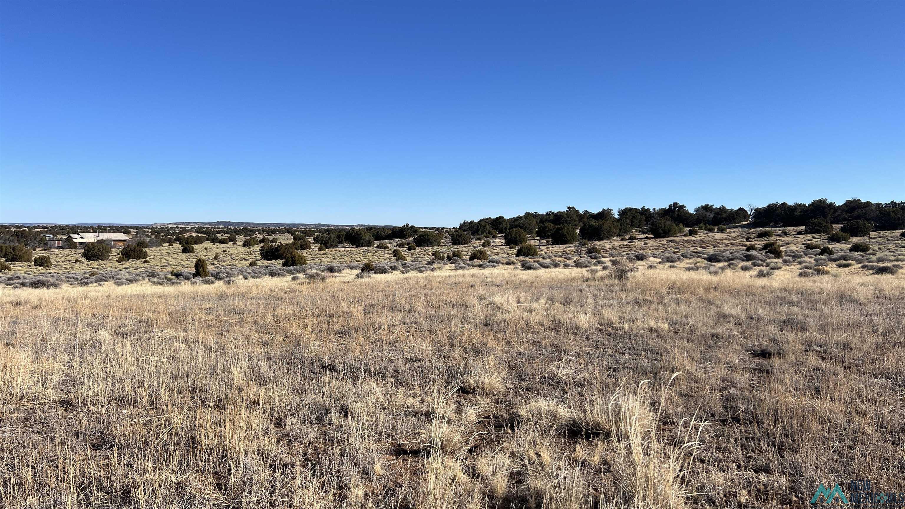 1692 Nm-highway 36 Highway, Fence Lake, Texas image 19