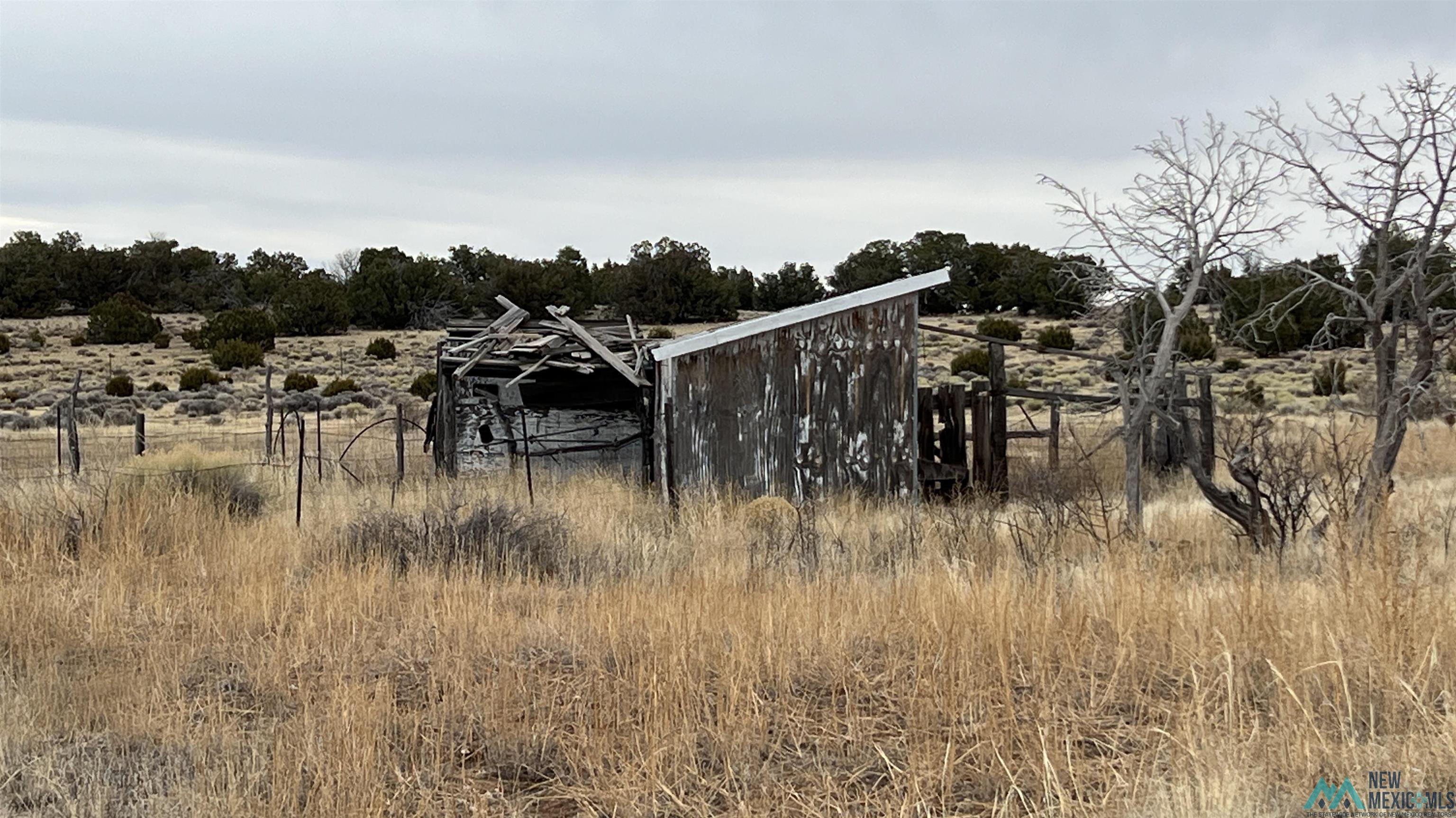 1692 Nm-highway 36 Highway, Fence Lake, Texas image 15