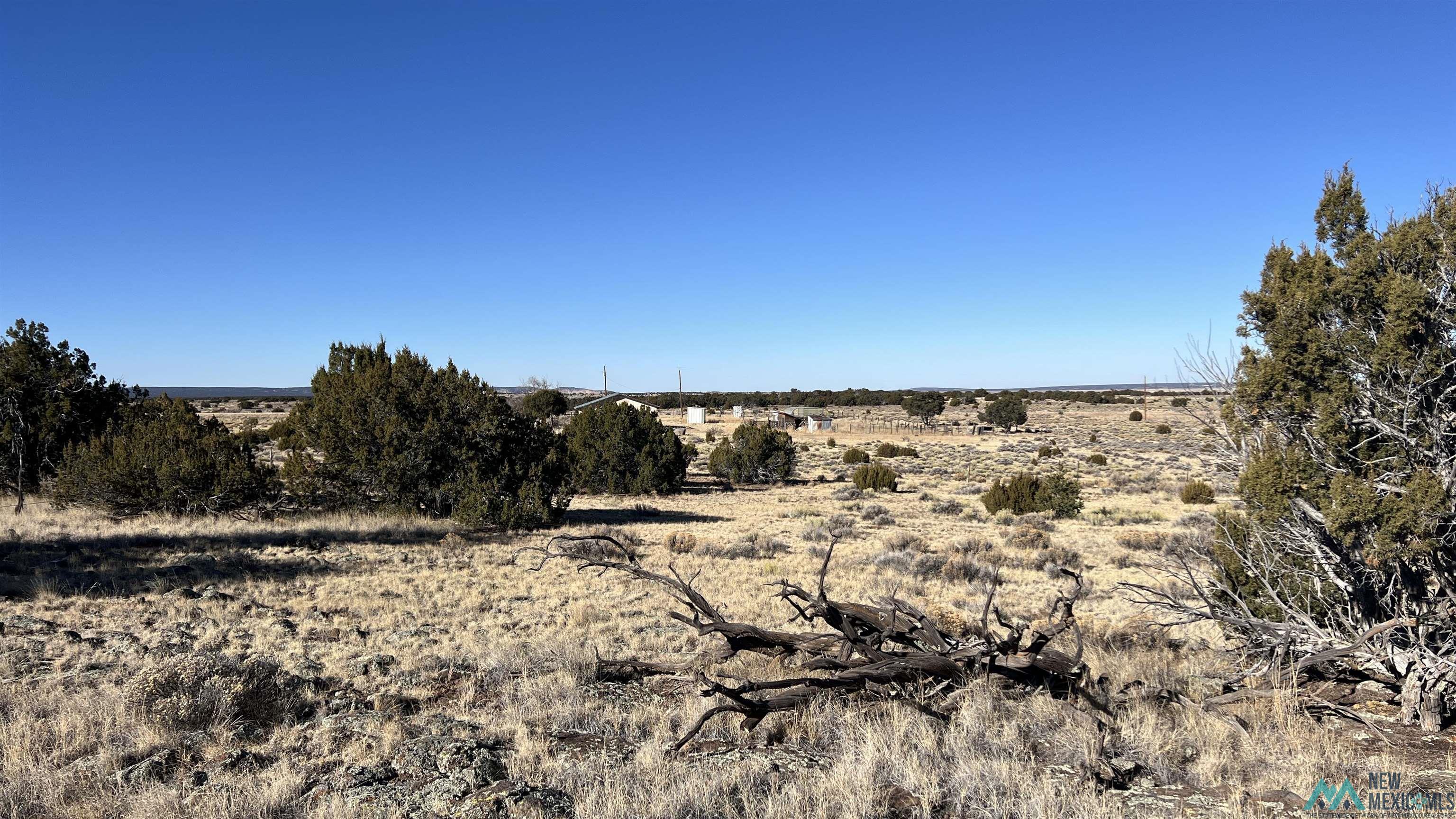 1692 Nm-highway 36 Highway, Fence Lake, Texas image 9