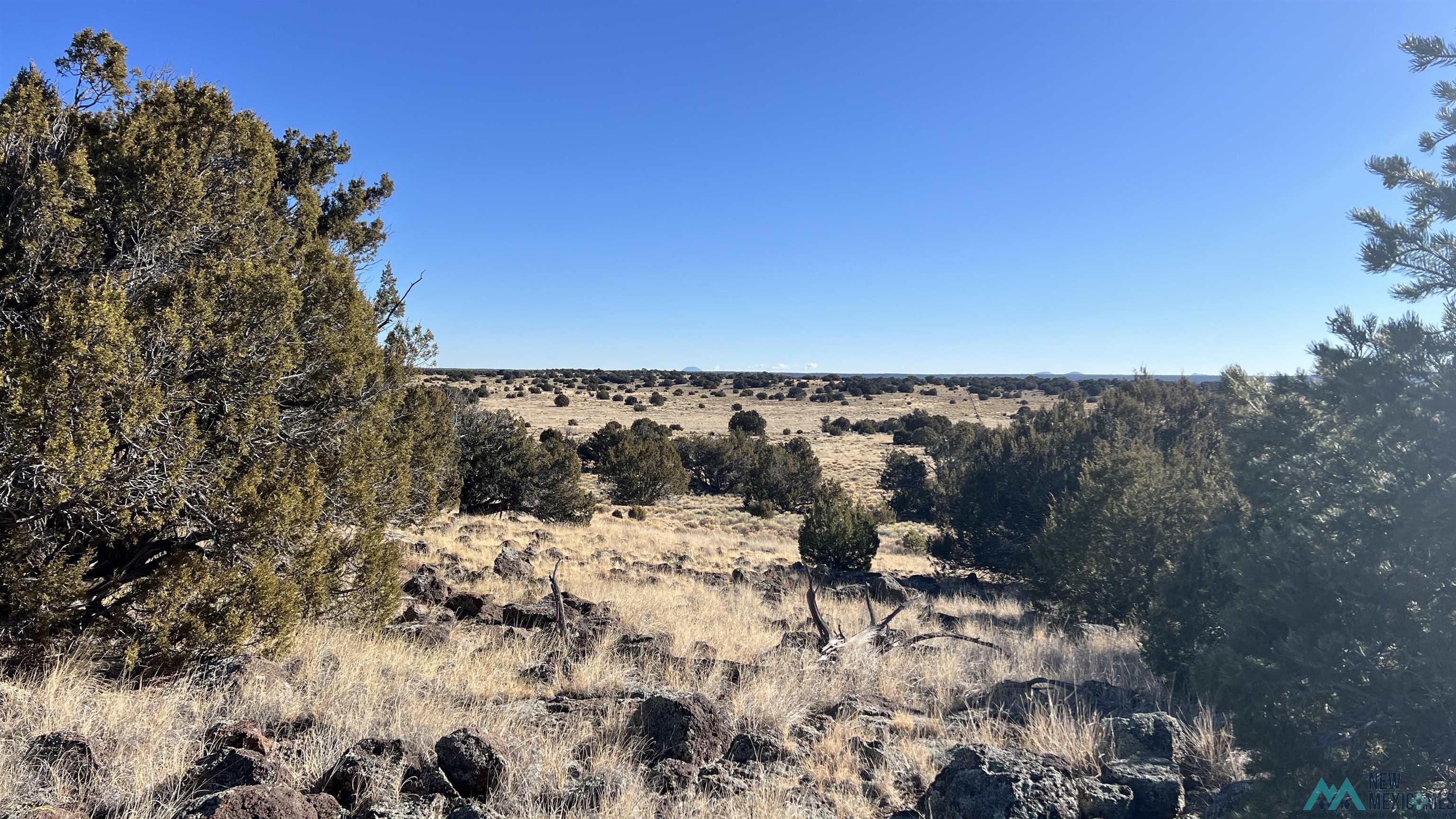 1692 Nm-highway 36 Highway, Fence Lake, Texas image 18