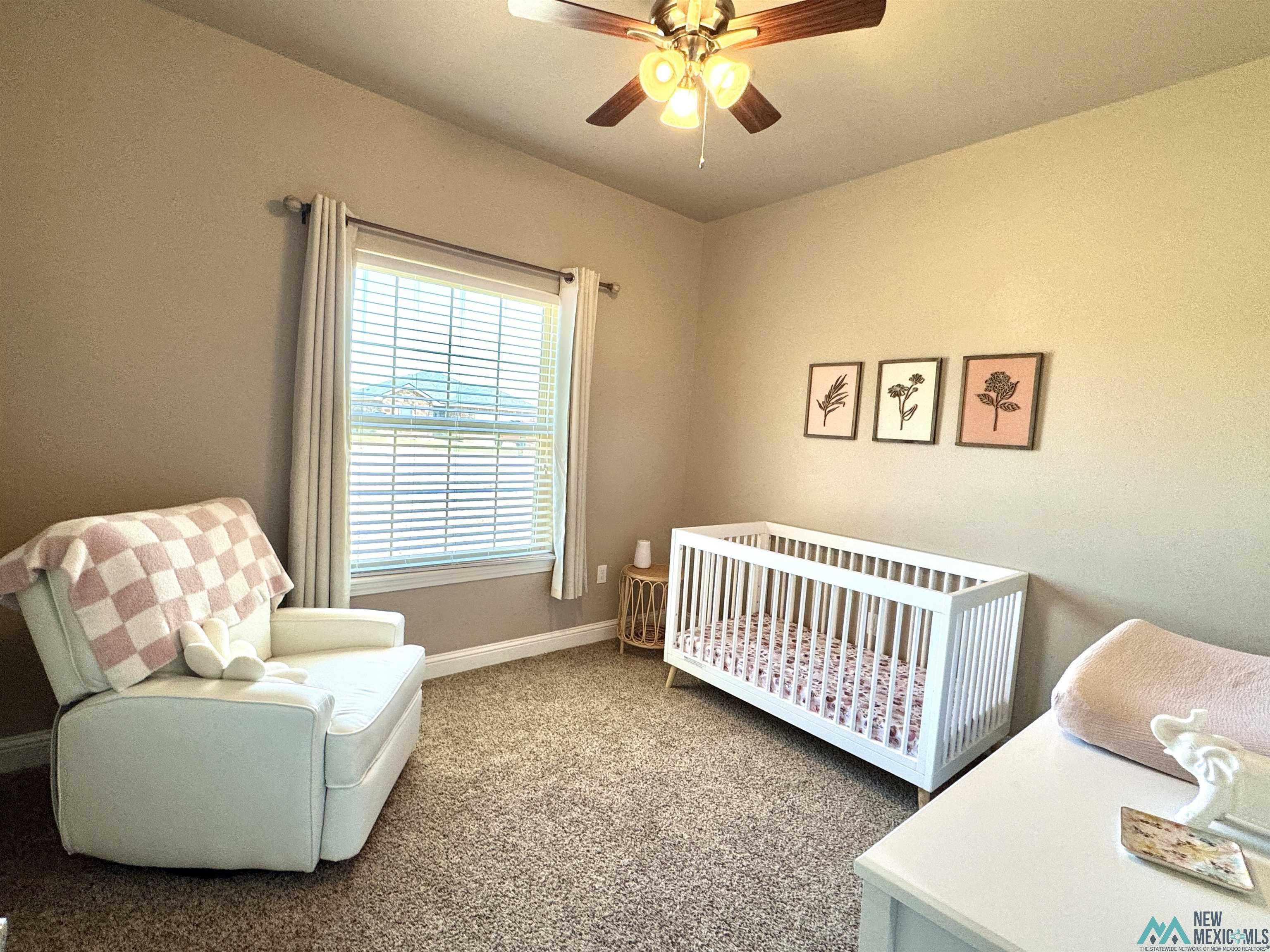 201 Almond Tree Lane, Clovis, Texas image 30