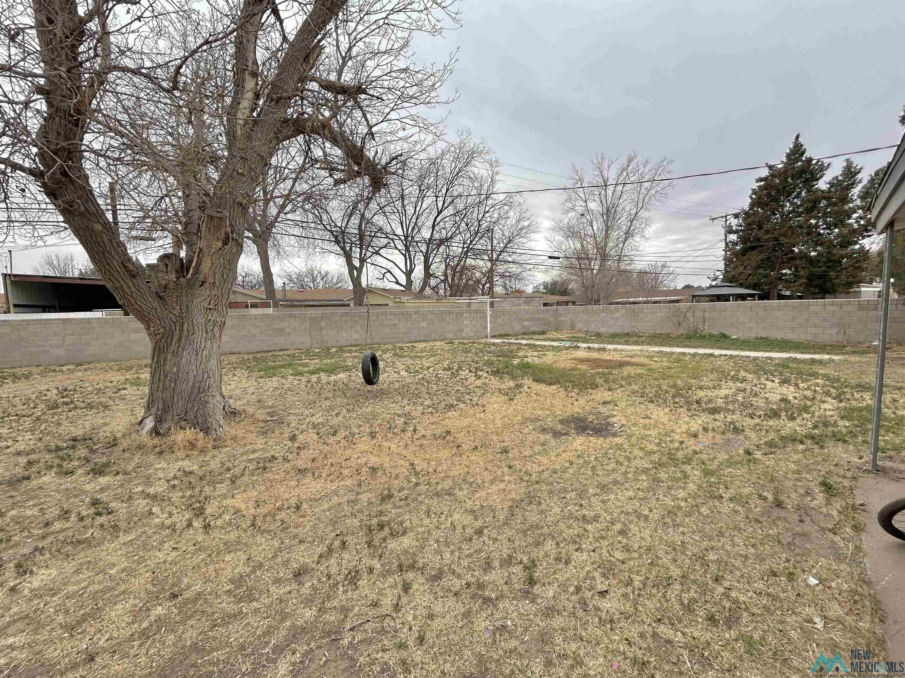 209 W Rojo Drive, Hobbs, New Mexico image 23