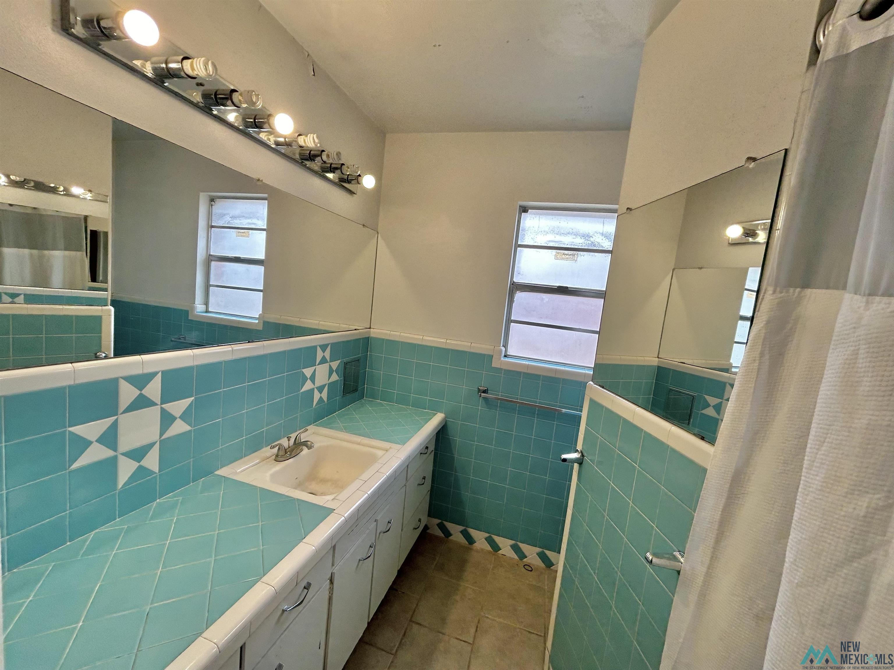 209 W Rojo Drive, Hobbs, New Mexico image 16