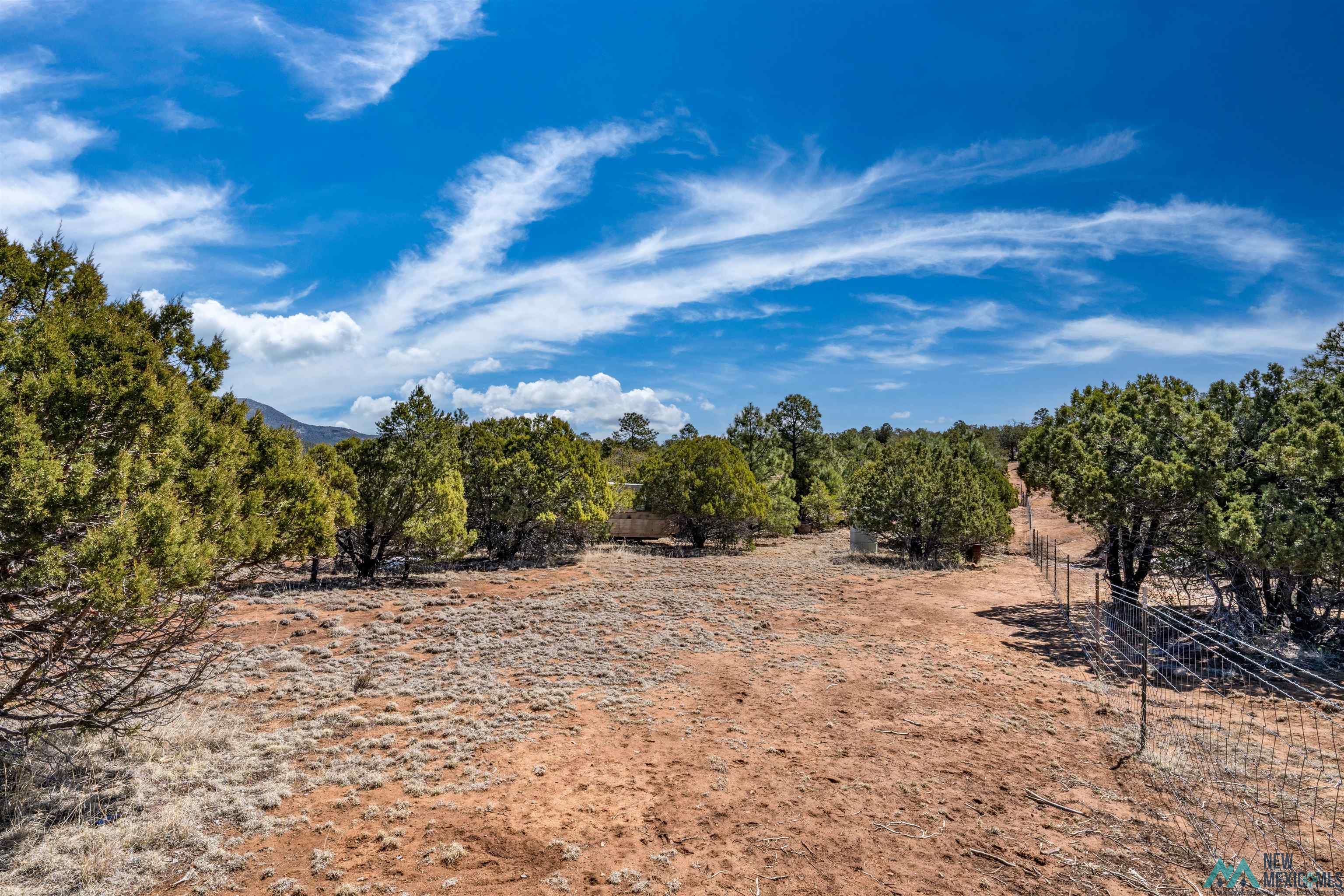 TBD Nm 15 Highway, Pinos Altos, New Mexico image 8