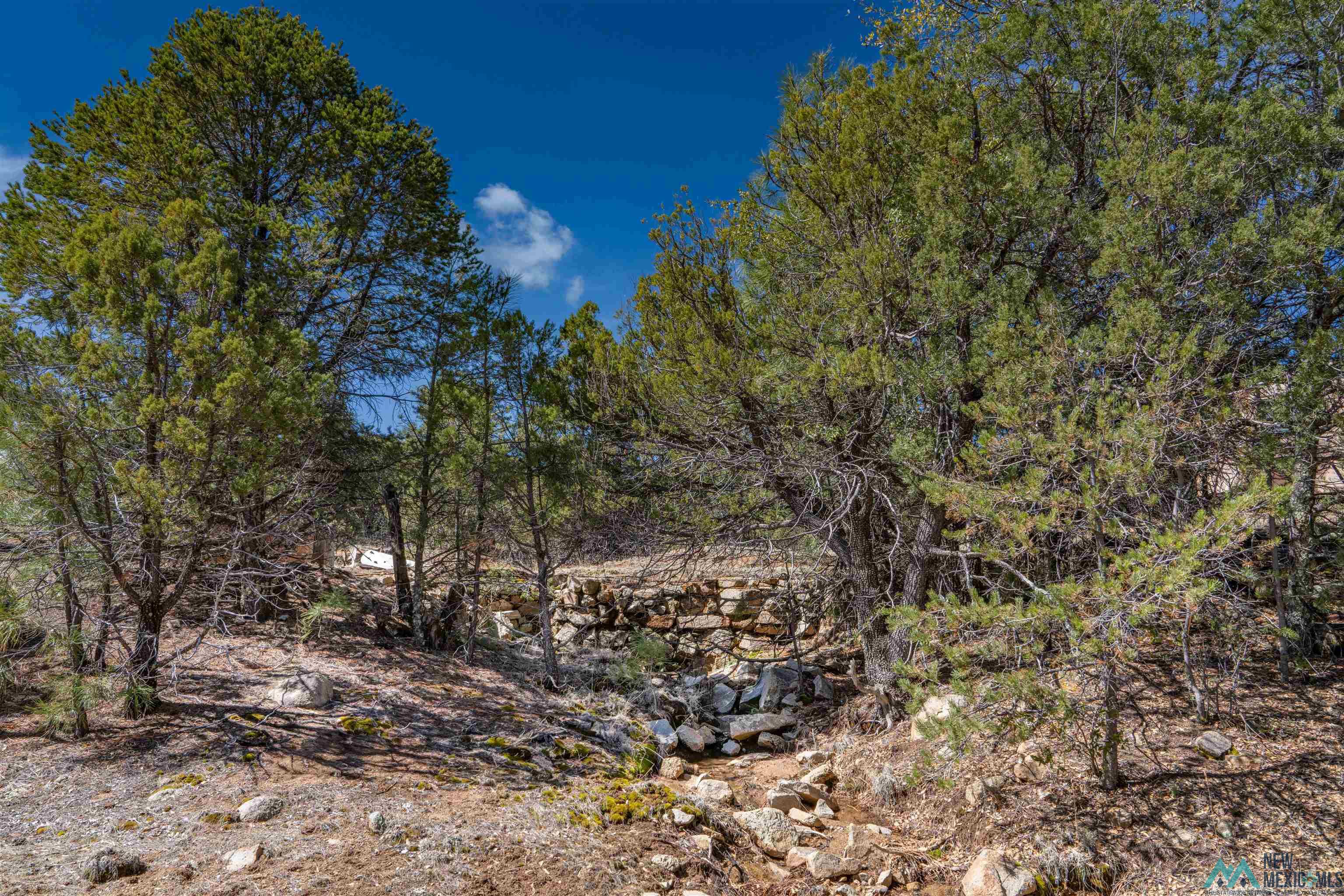 TBD Nm 15 Highway, Pinos Altos, New Mexico image 14