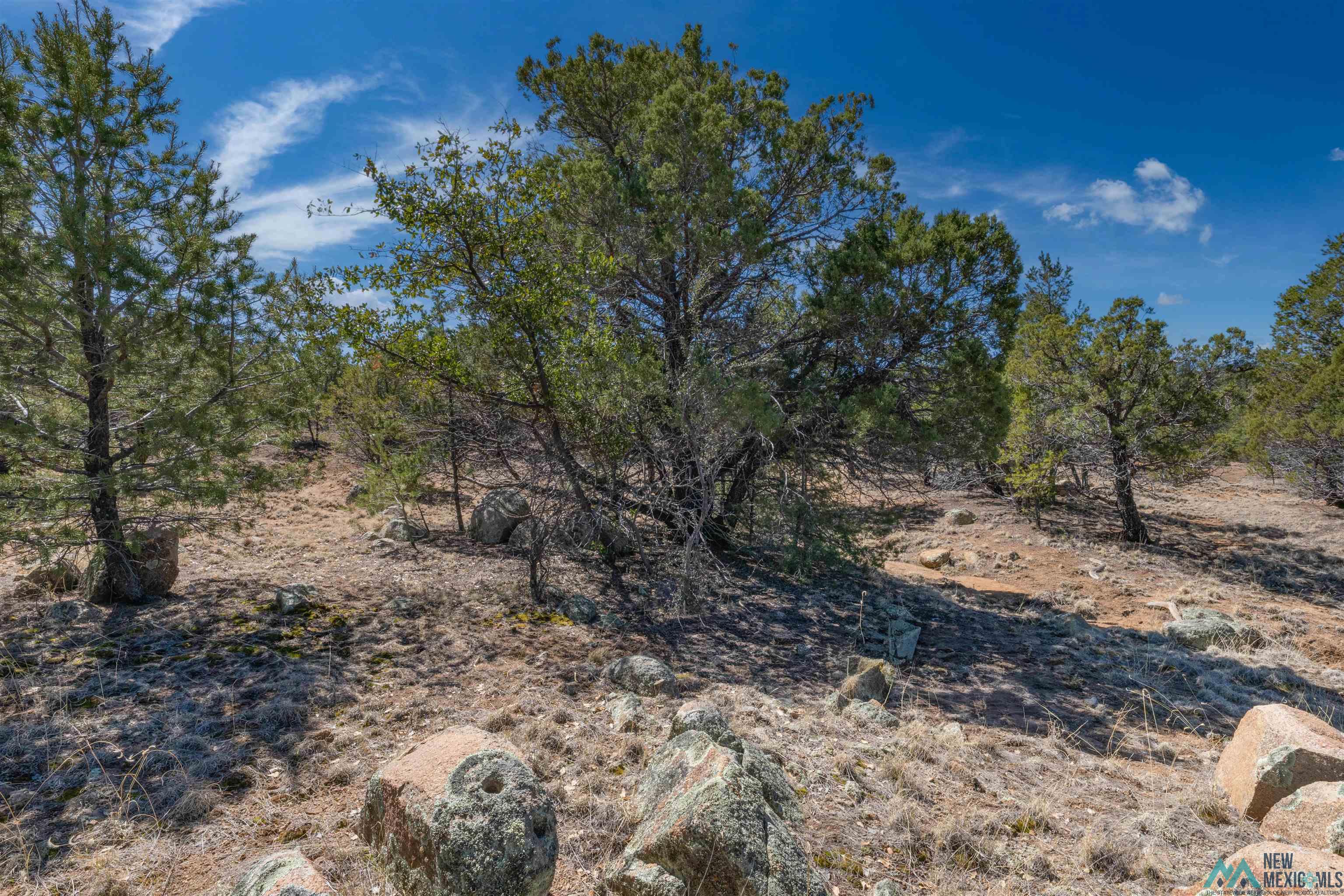 TBD Nm 15 Highway, Pinos Altos, New Mexico image 24