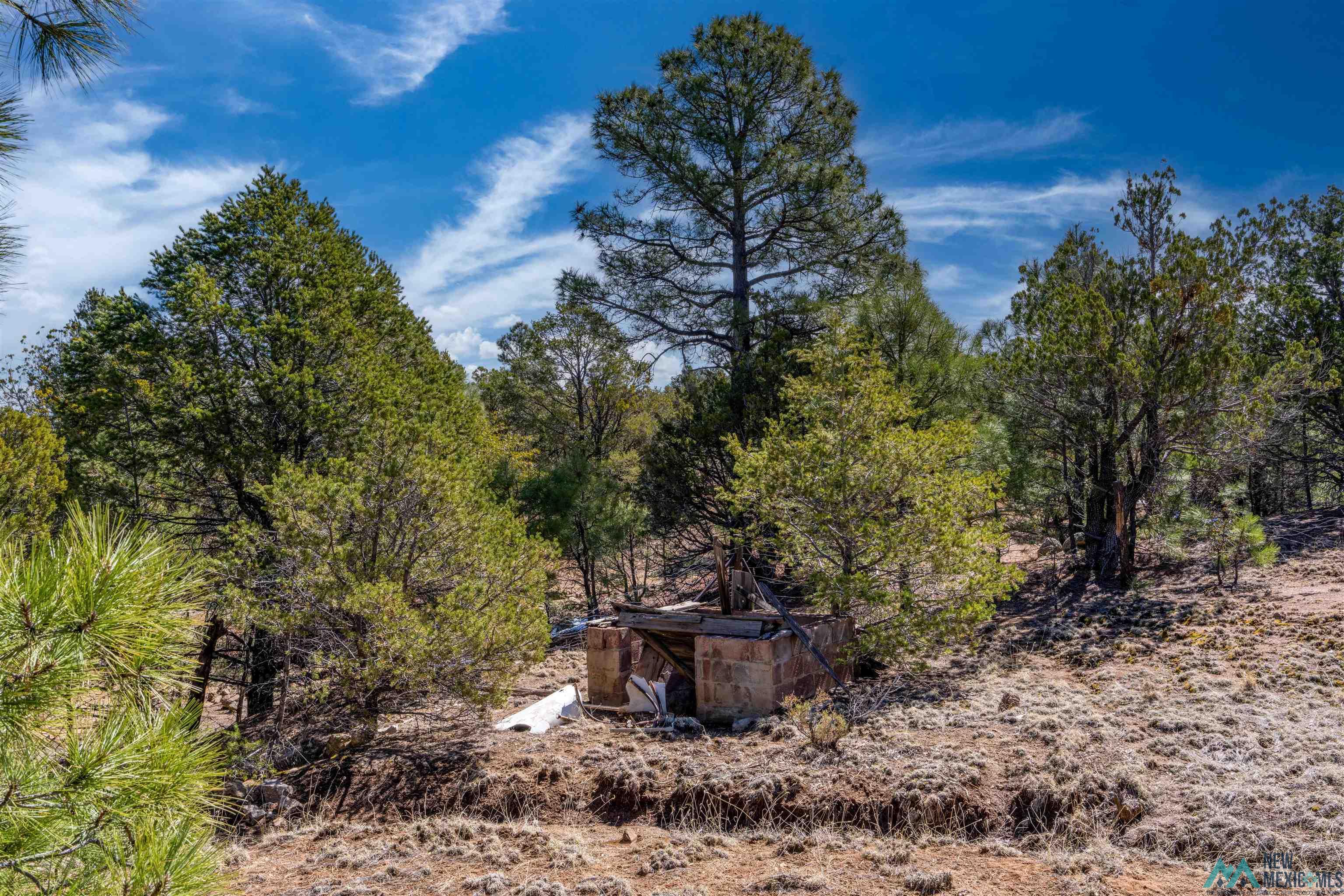 TBD Nm 15 Highway, Pinos Altos, New Mexico image 12