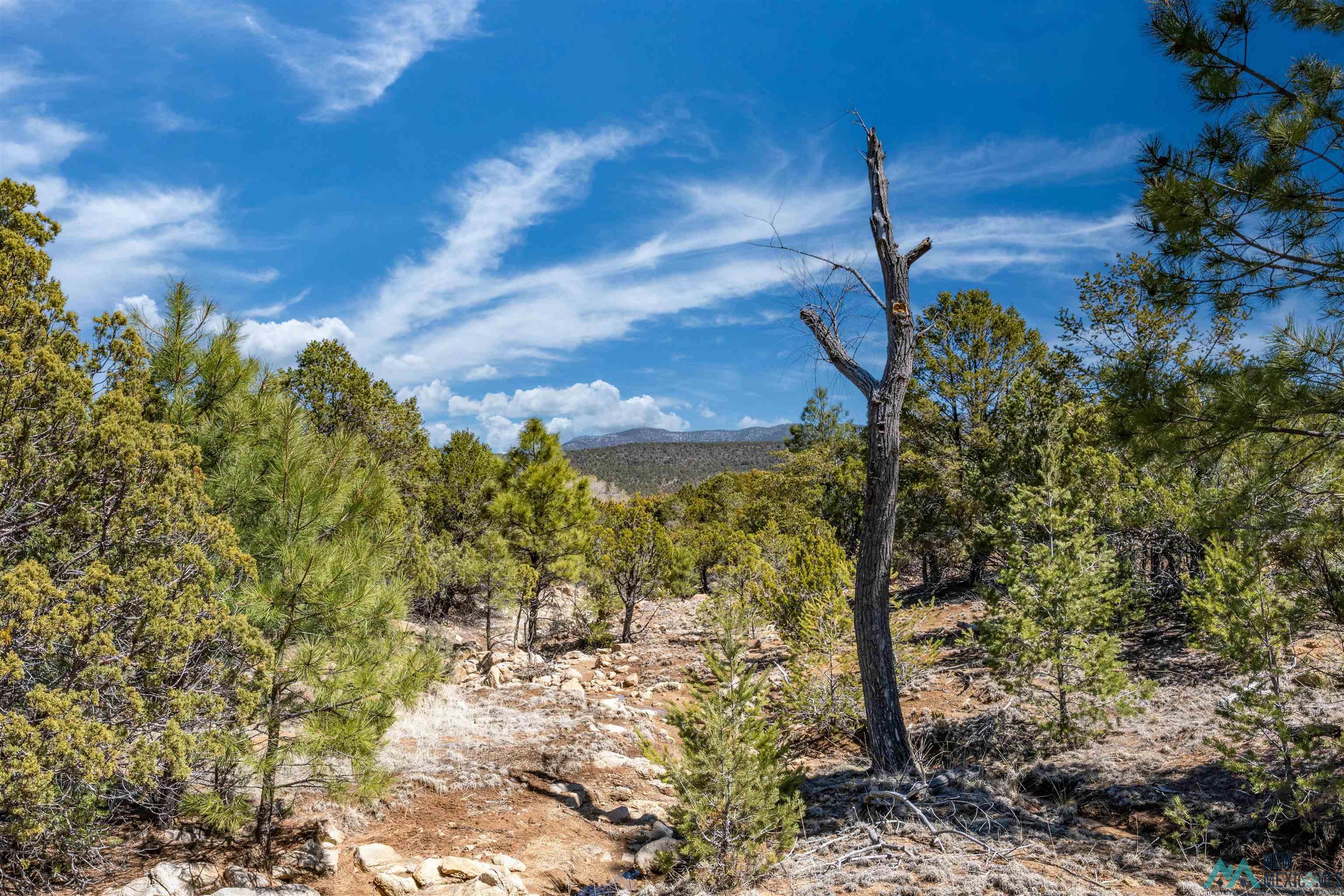 TBD Nm 15 Highway, Pinos Altos, New Mexico image 18