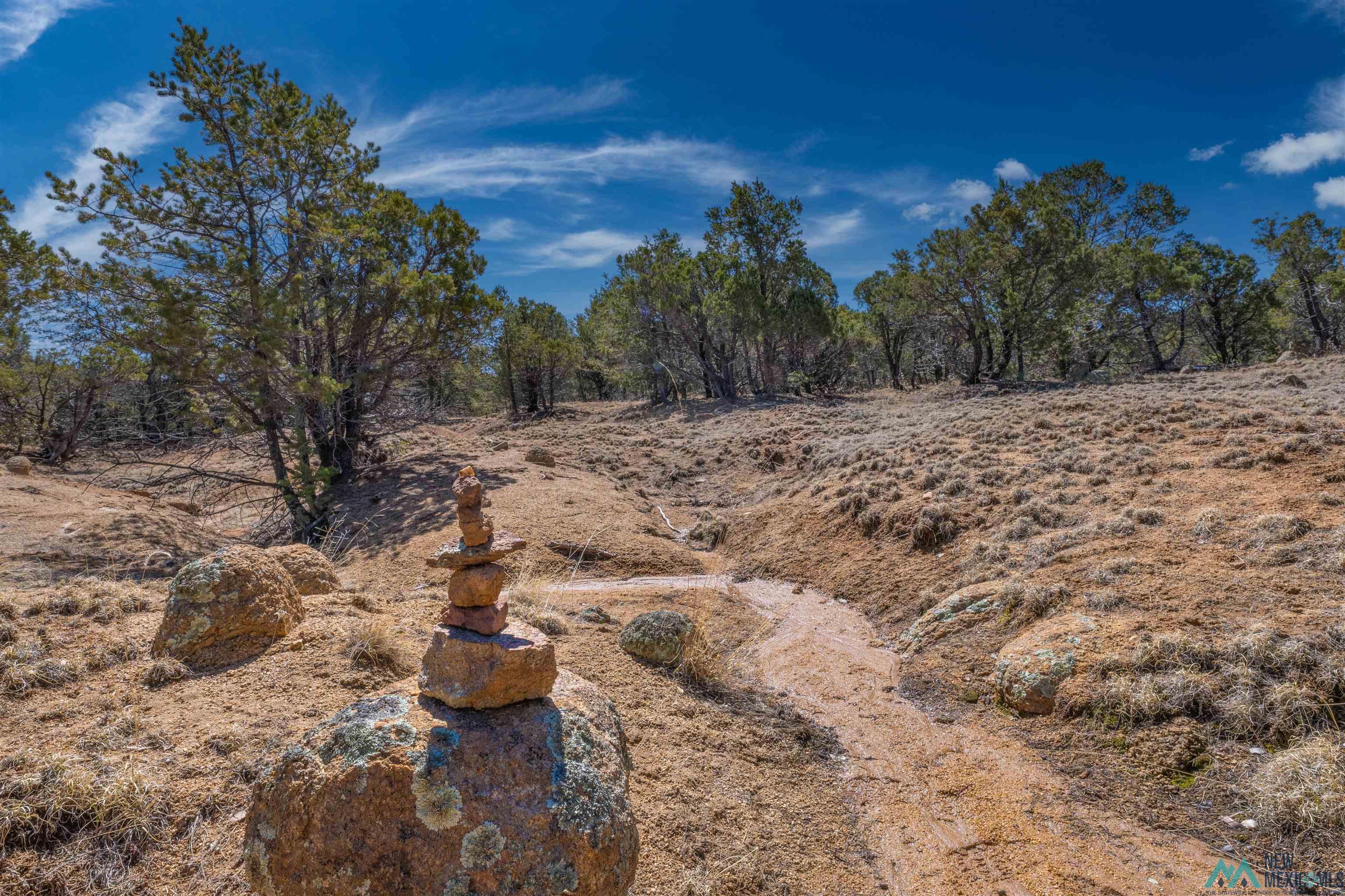 TBD Nm 15 Highway, Pinos Altos, New Mexico image 5