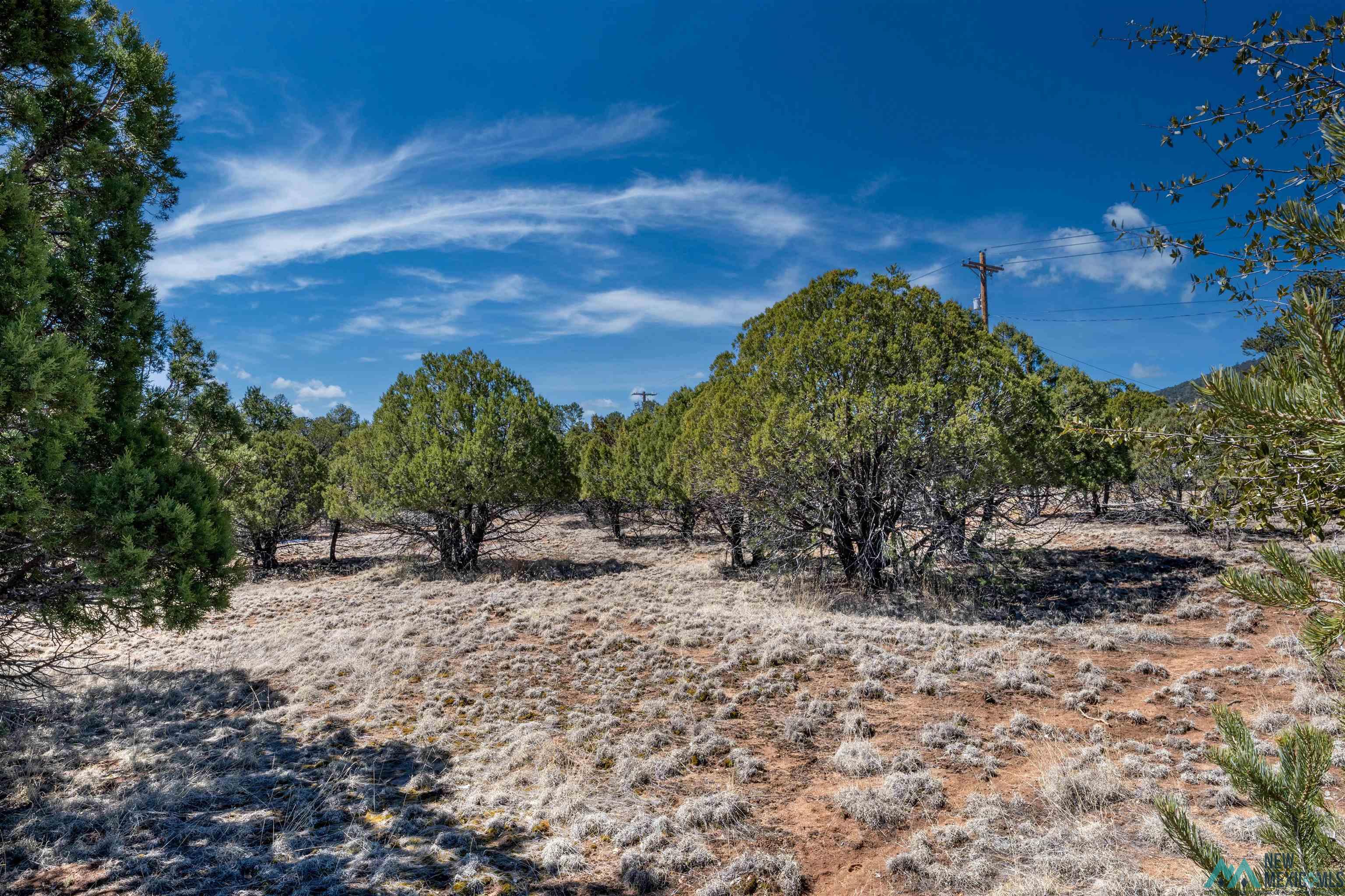 TBD Nm 15 Highway, Pinos Altos, New Mexico image 22