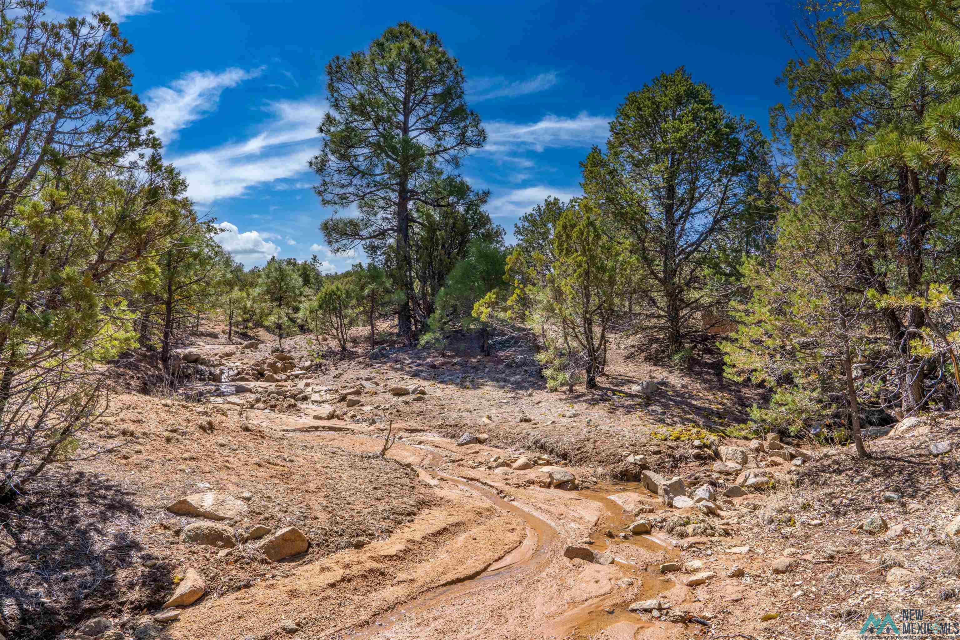 TBD Nm 15 Highway, Pinos Altos, New Mexico image 7