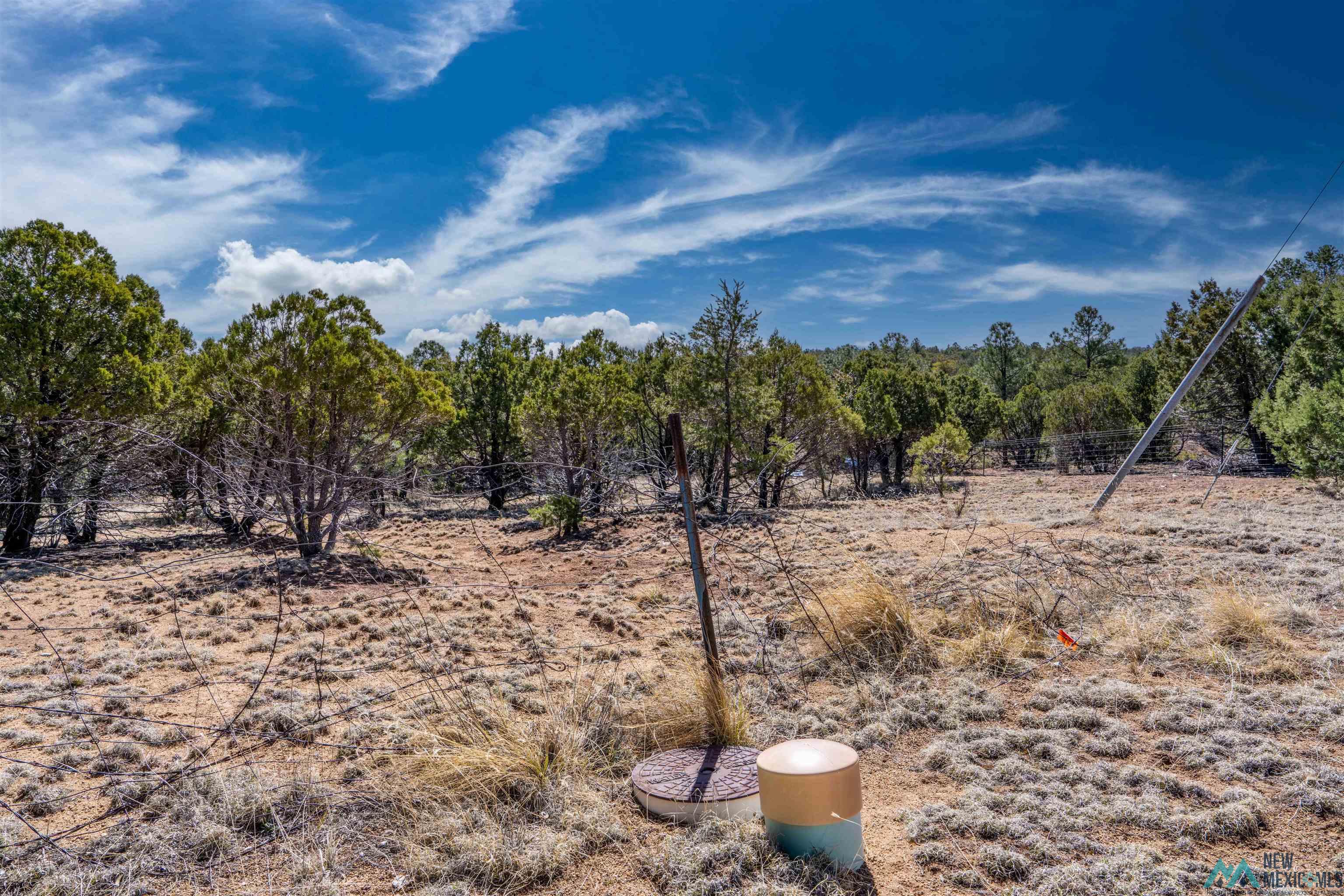 TBD Nm 15 Highway, Pinos Altos, New Mexico image 9