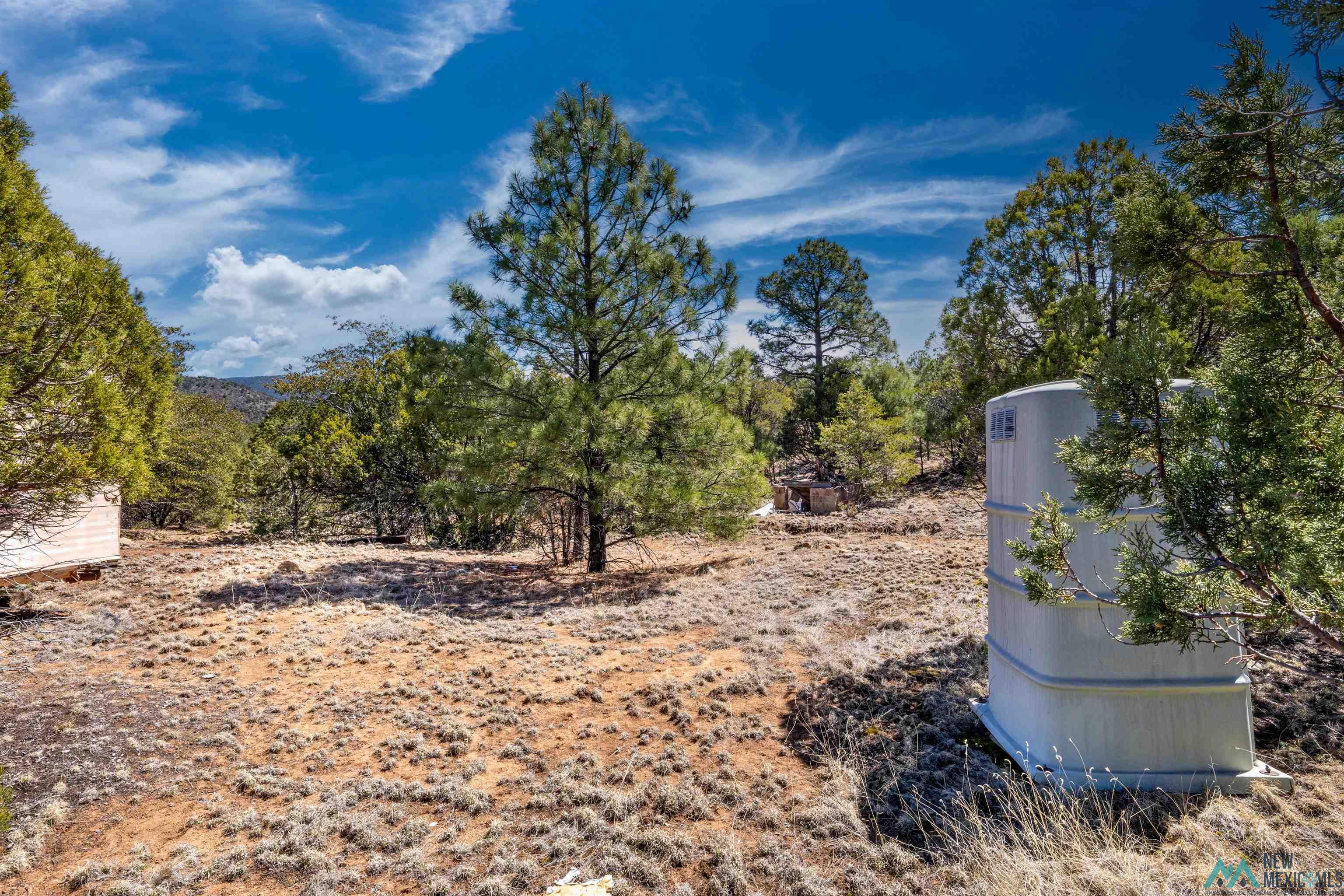 TBD Nm 15 Highway, Pinos Altos, New Mexico image 2