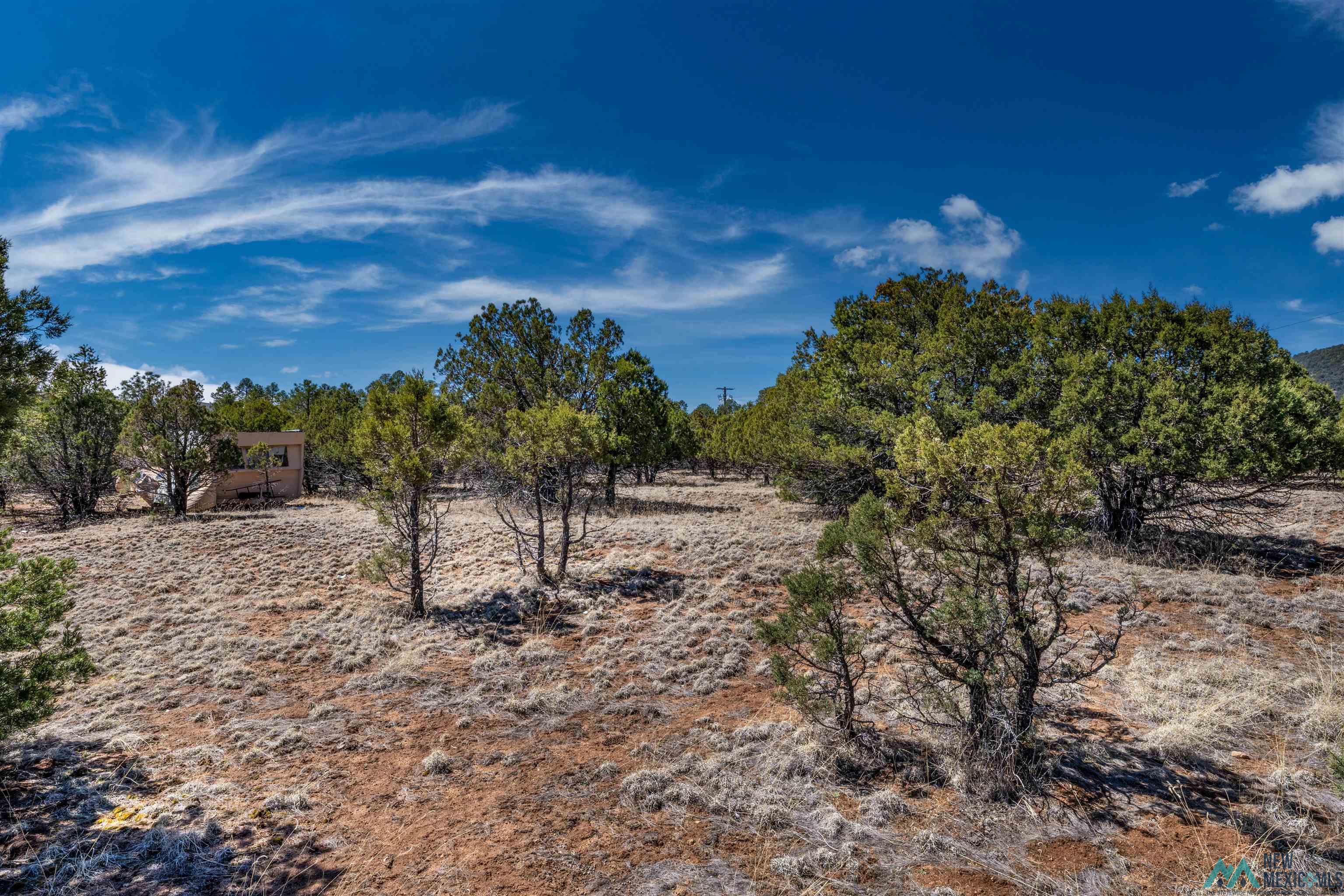 TBD Nm 15 Highway, Pinos Altos, New Mexico image 20