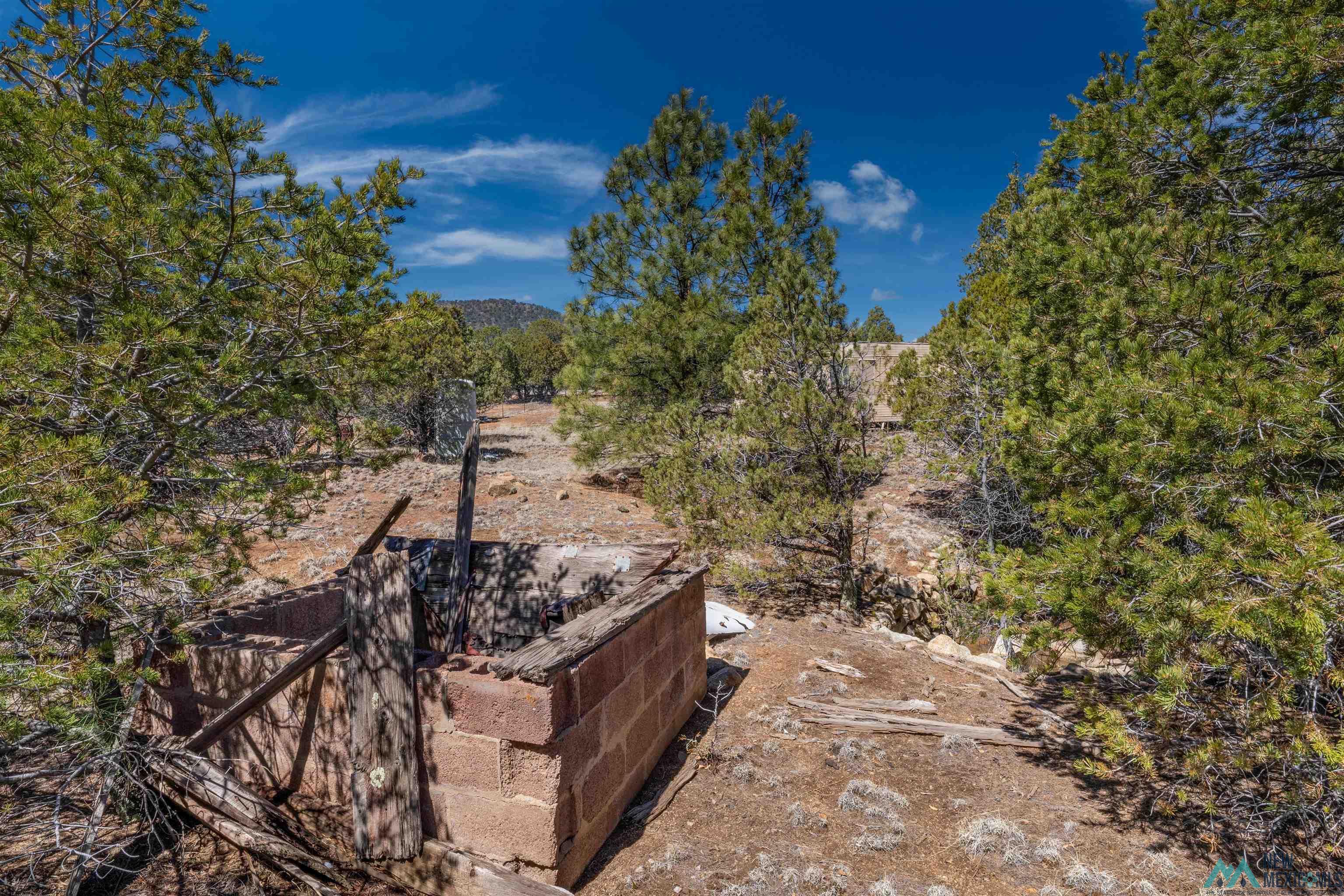 TBD Nm 15 Highway, Pinos Altos, New Mexico image 16