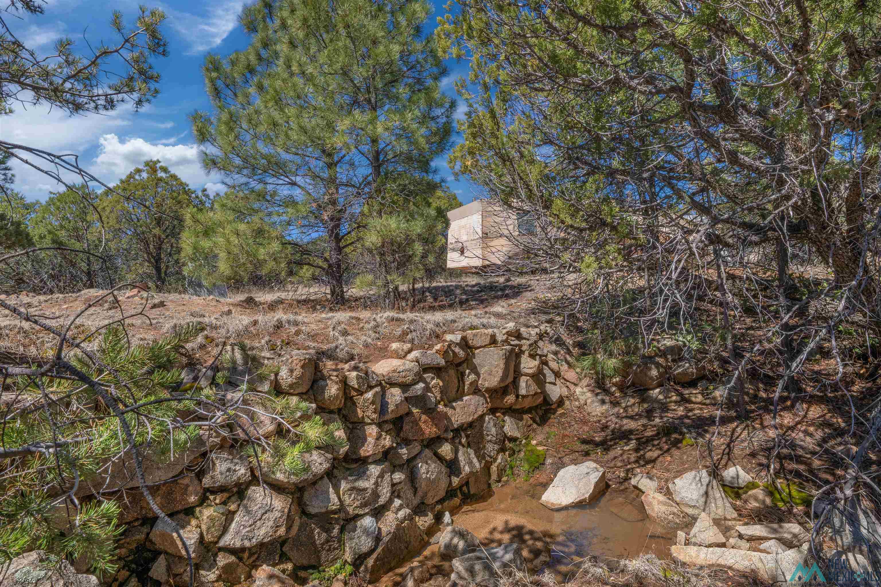 TBD Nm 15 Highway, Pinos Altos, New Mexico image 4