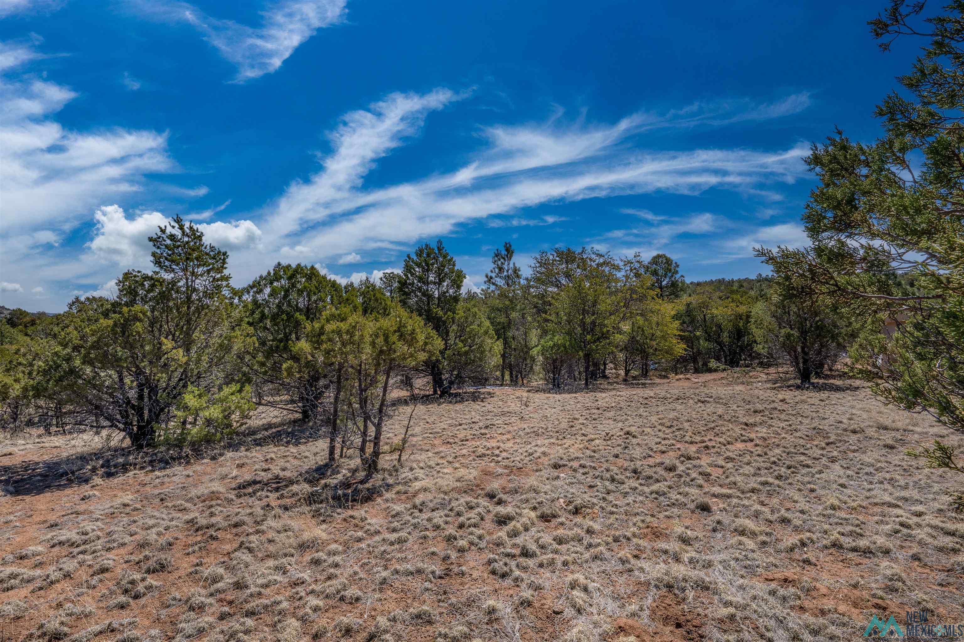 TBD Nm 15 Highway, Pinos Altos, New Mexico image 21