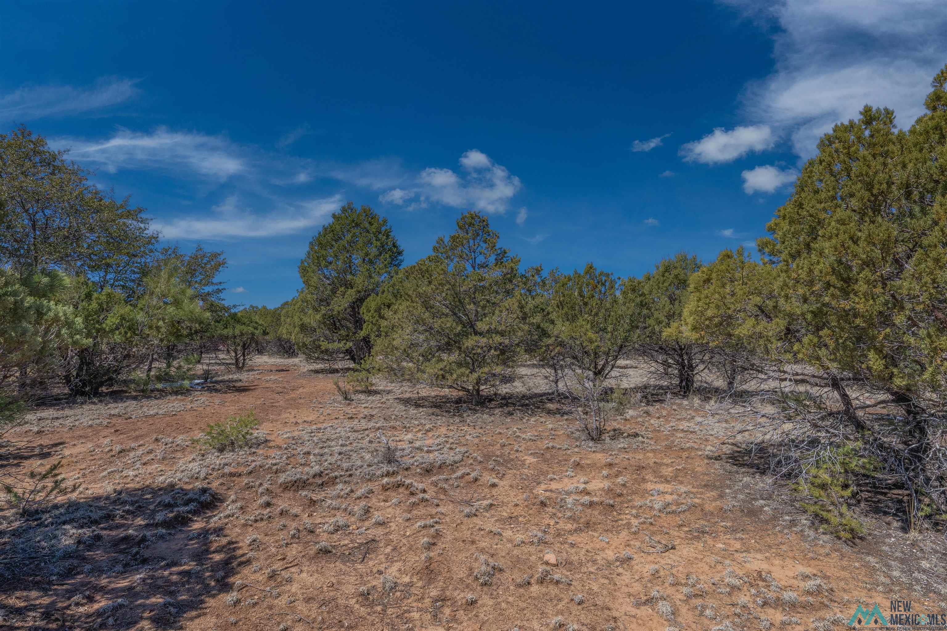 TBD Nm 15 Highway, Pinos Altos, New Mexico image 19