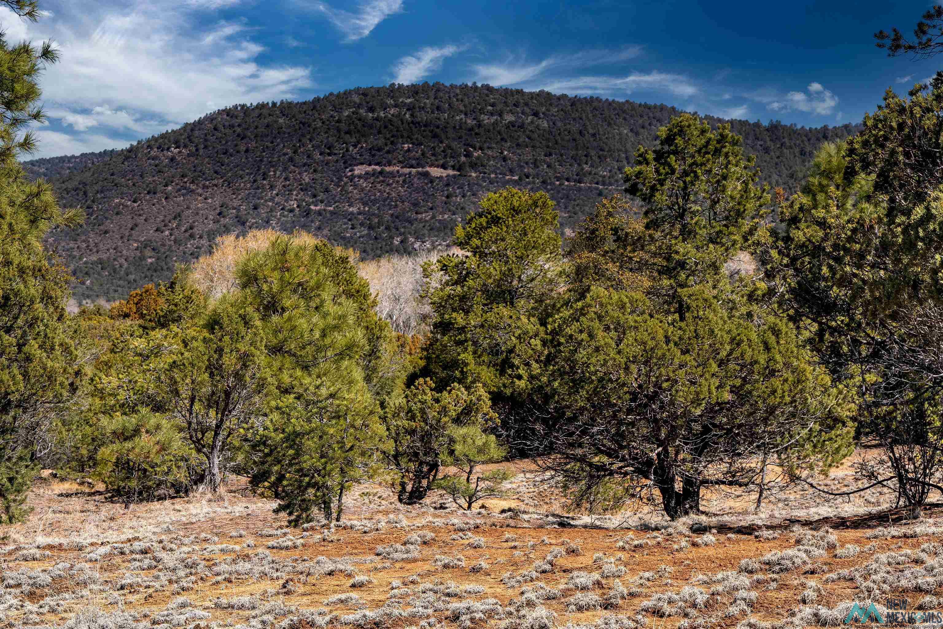 TBD Nm 15 Highway, Pinos Altos, New Mexico image 11