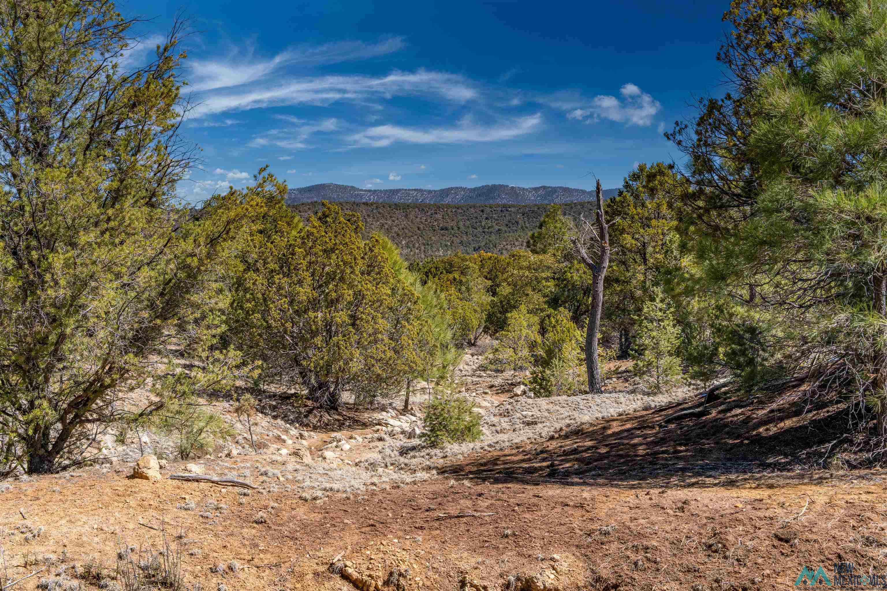 TBD Nm 15 Highway, Pinos Altos, New Mexico image 13