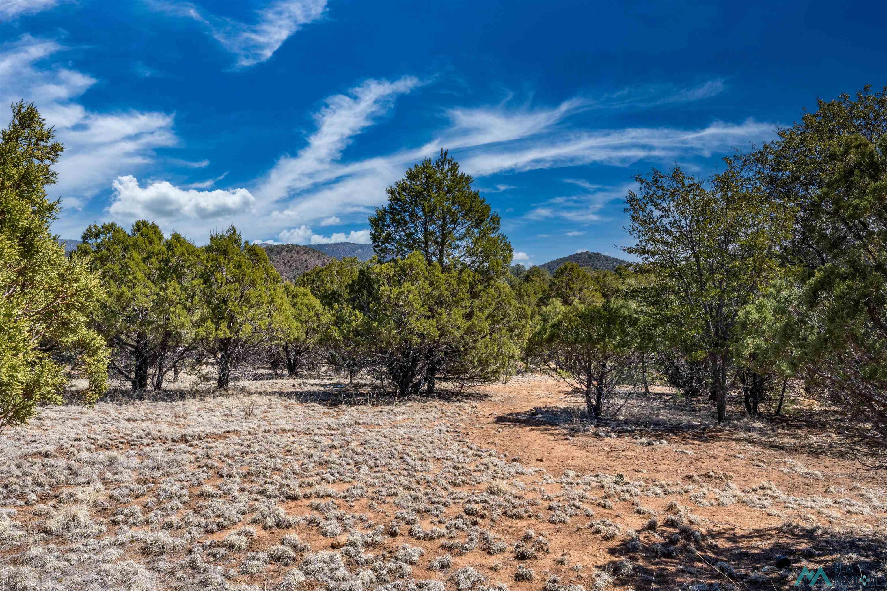 TBD Nm 15 Highway, Pinos Altos, New Mexico image 23