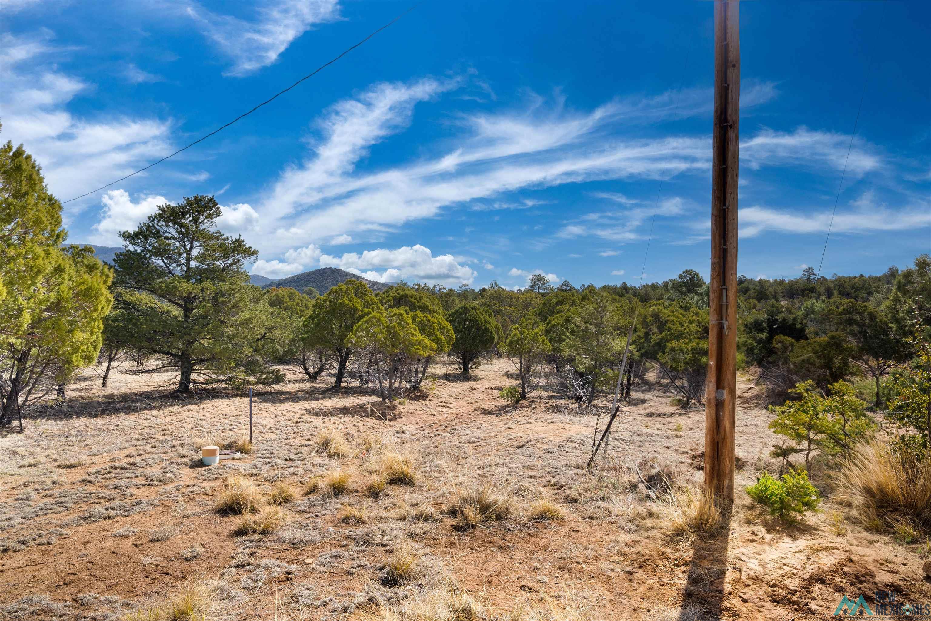 TBD Nm 15 Highway, Pinos Altos, New Mexico image 1