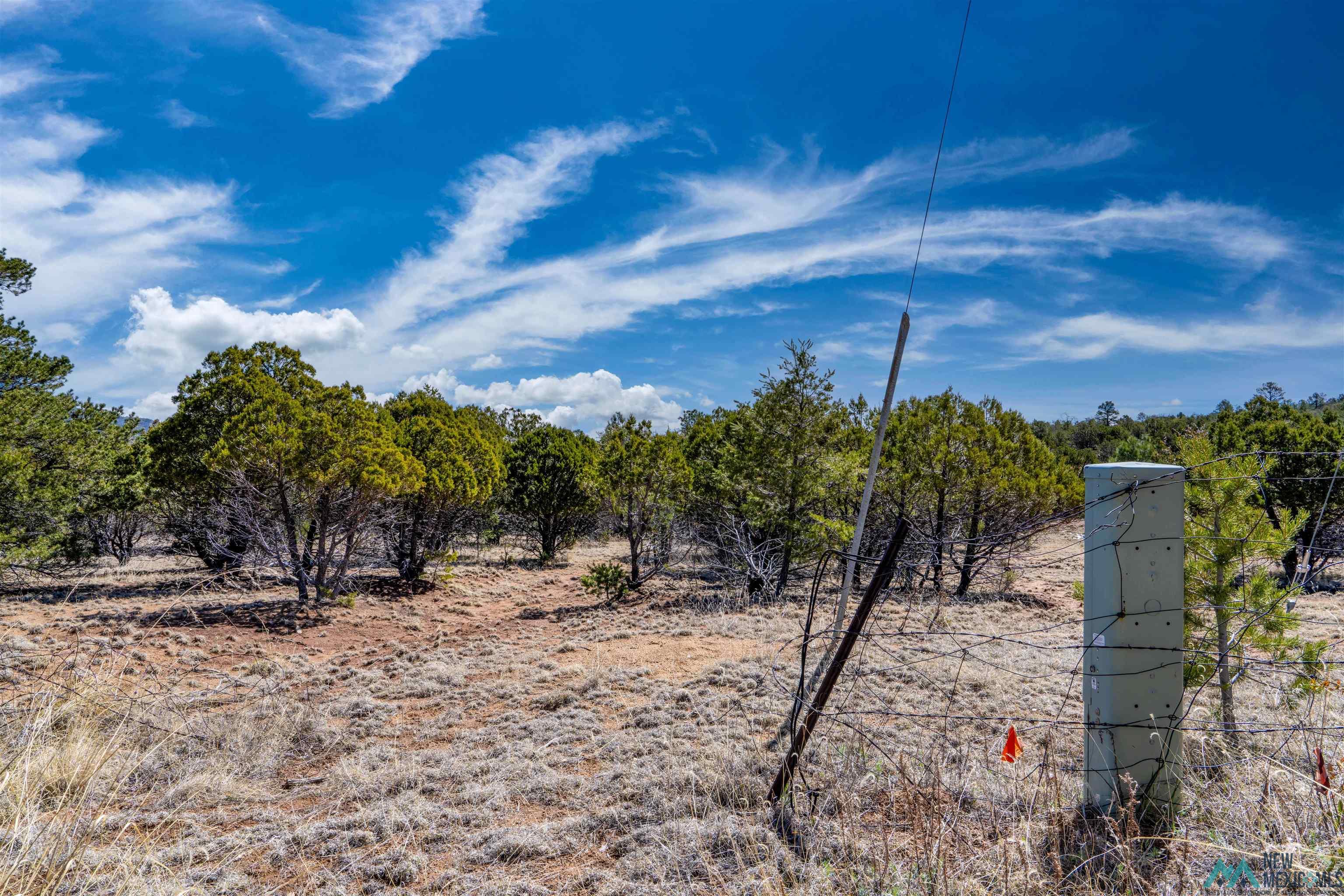 TBD Nm 15 Highway, Pinos Altos, New Mexico image 10