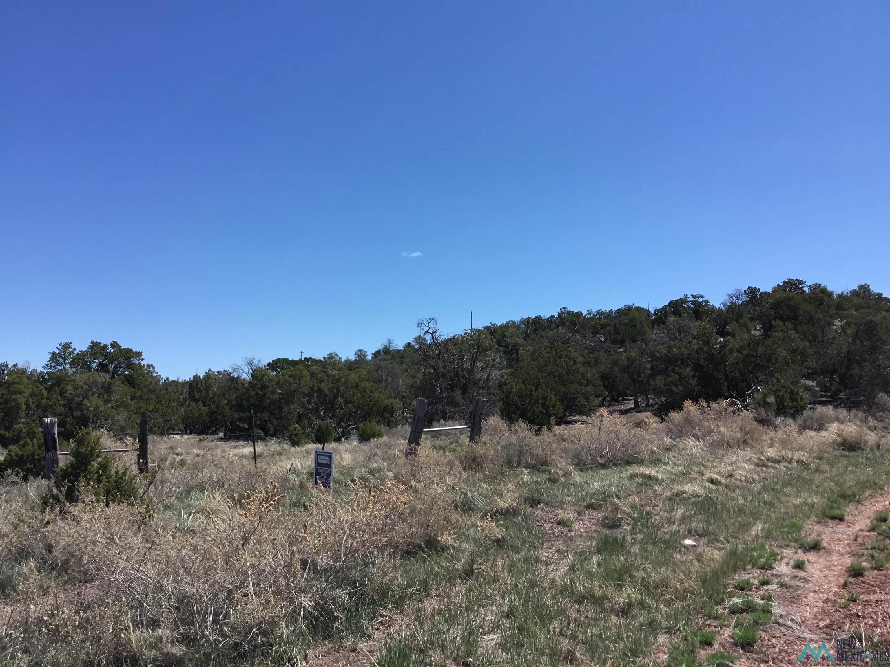 TBD Palomino Loop, Jamestown, New Mexico image 47