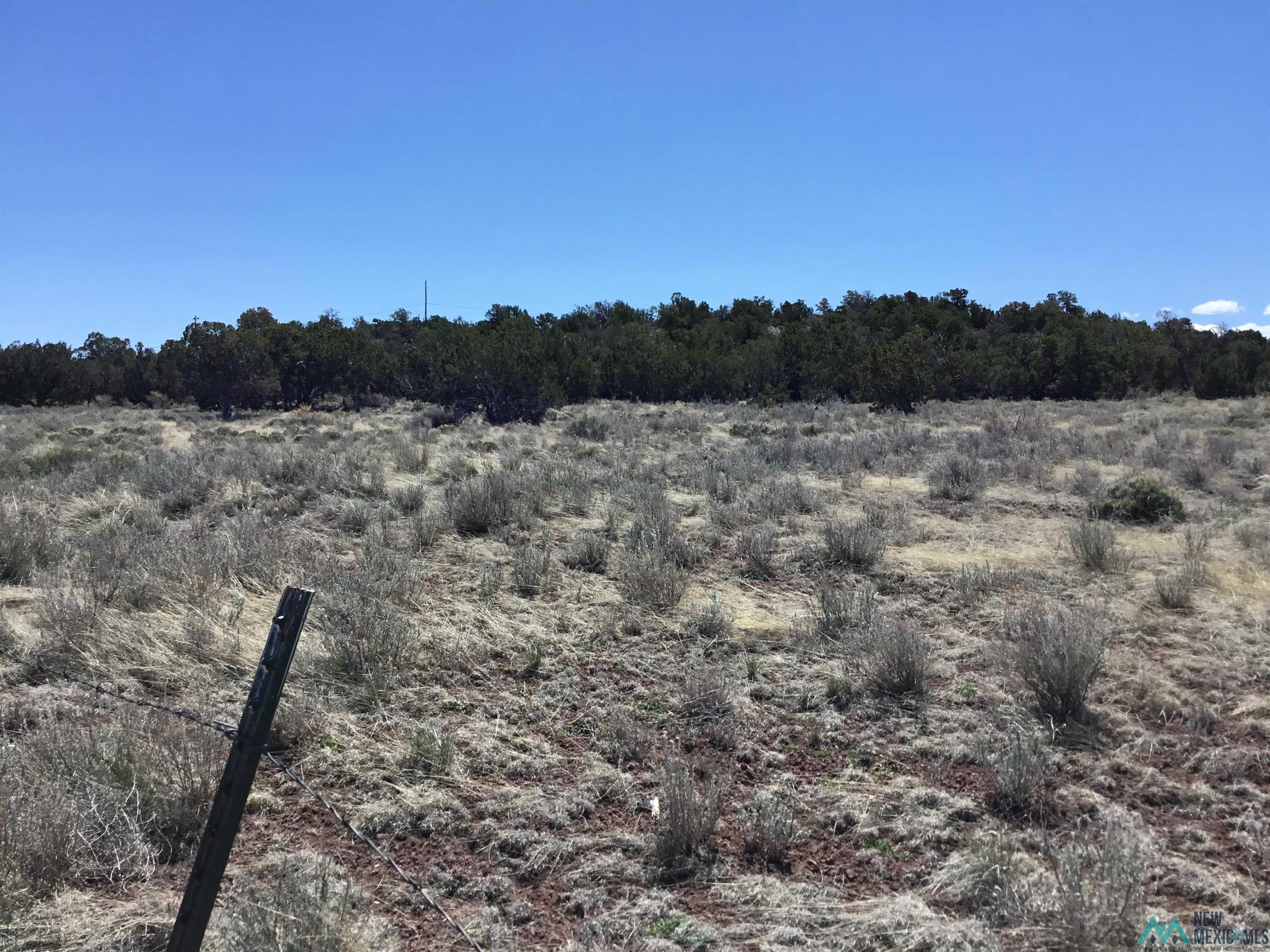 TBD Palomino Loop, Jamestown, New Mexico image 14