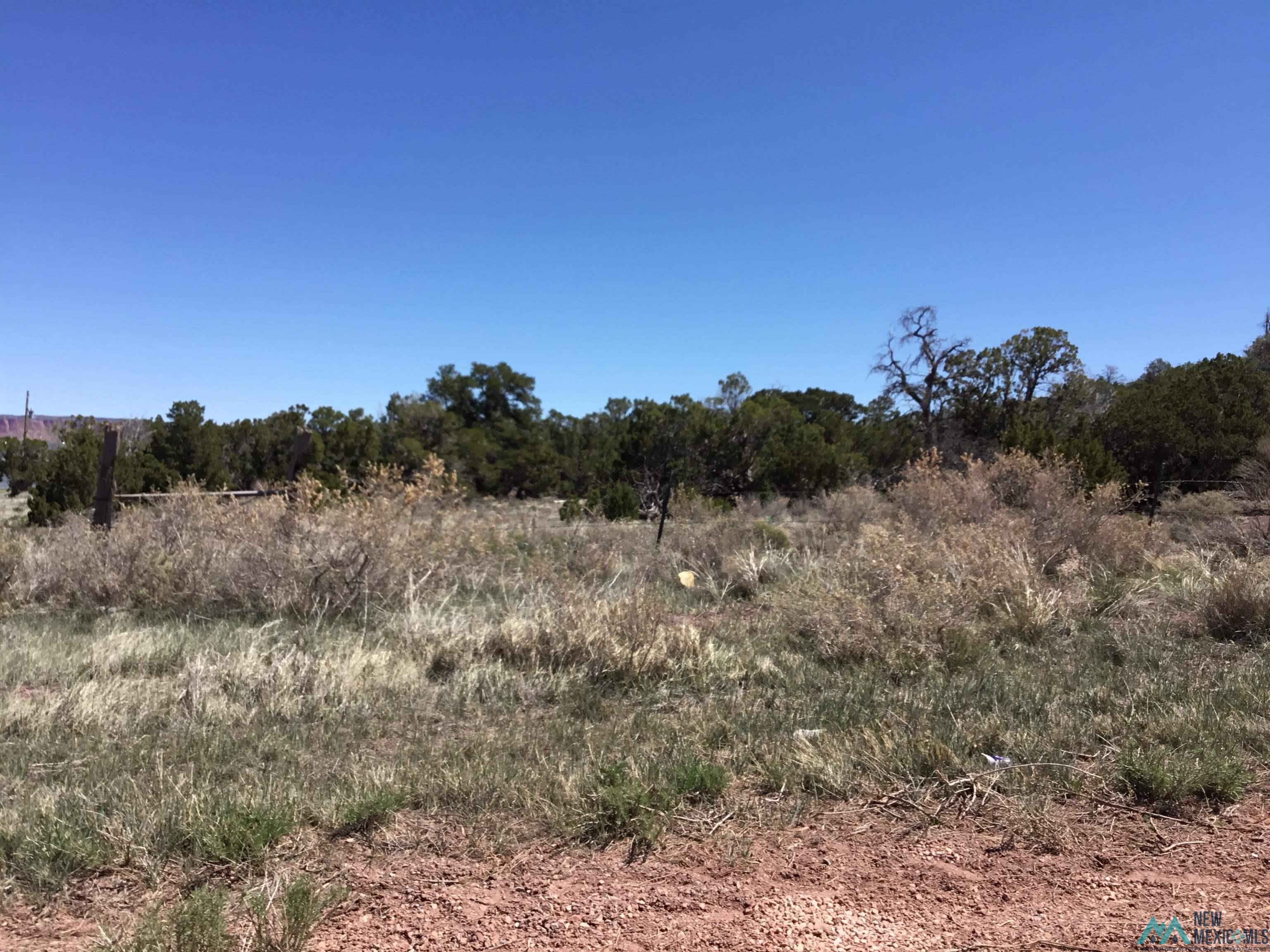 TBD Palomino Loop, Jamestown, New Mexico image 35