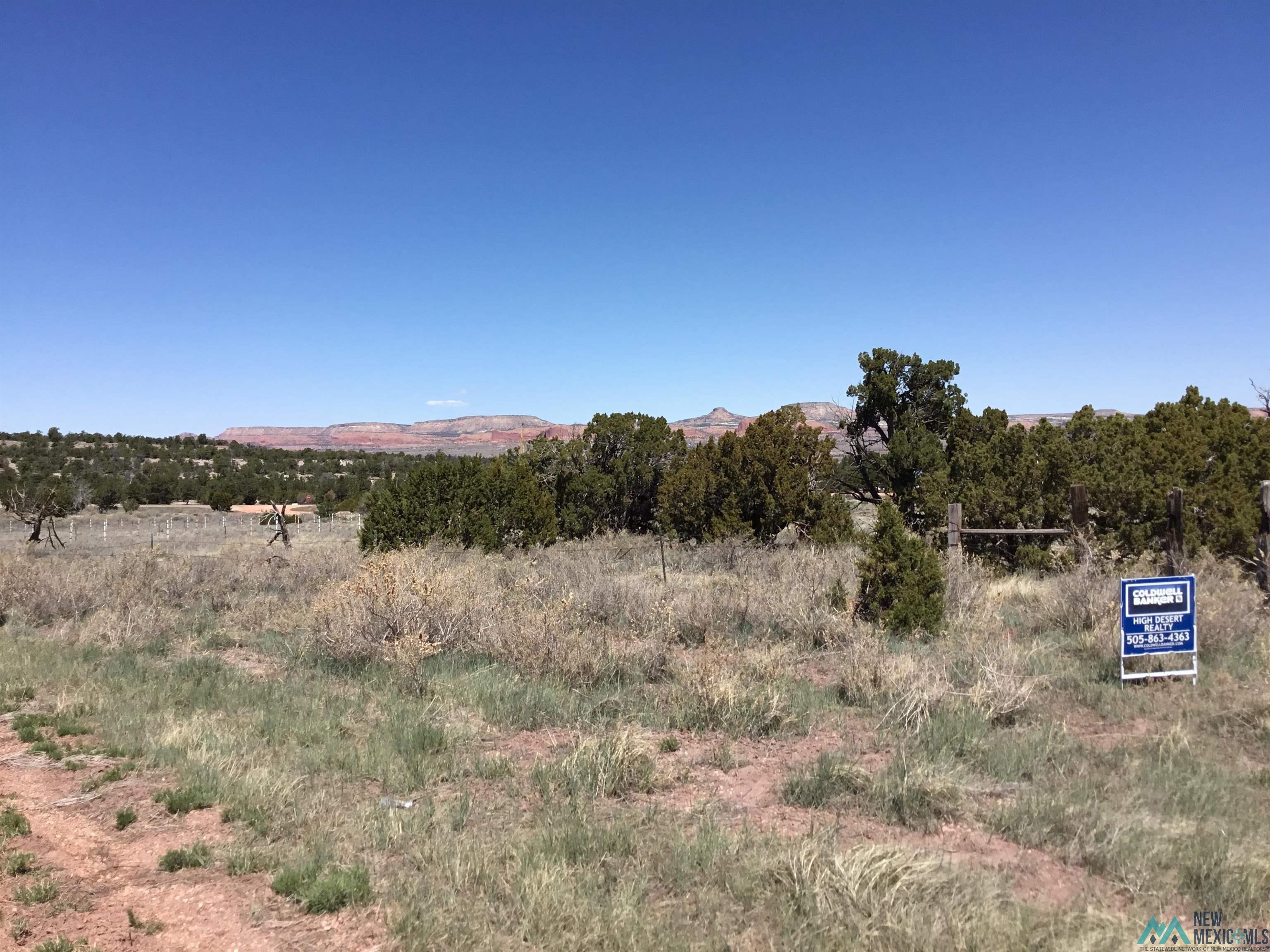 TBD Palomino Loop, Jamestown, New Mexico image 45